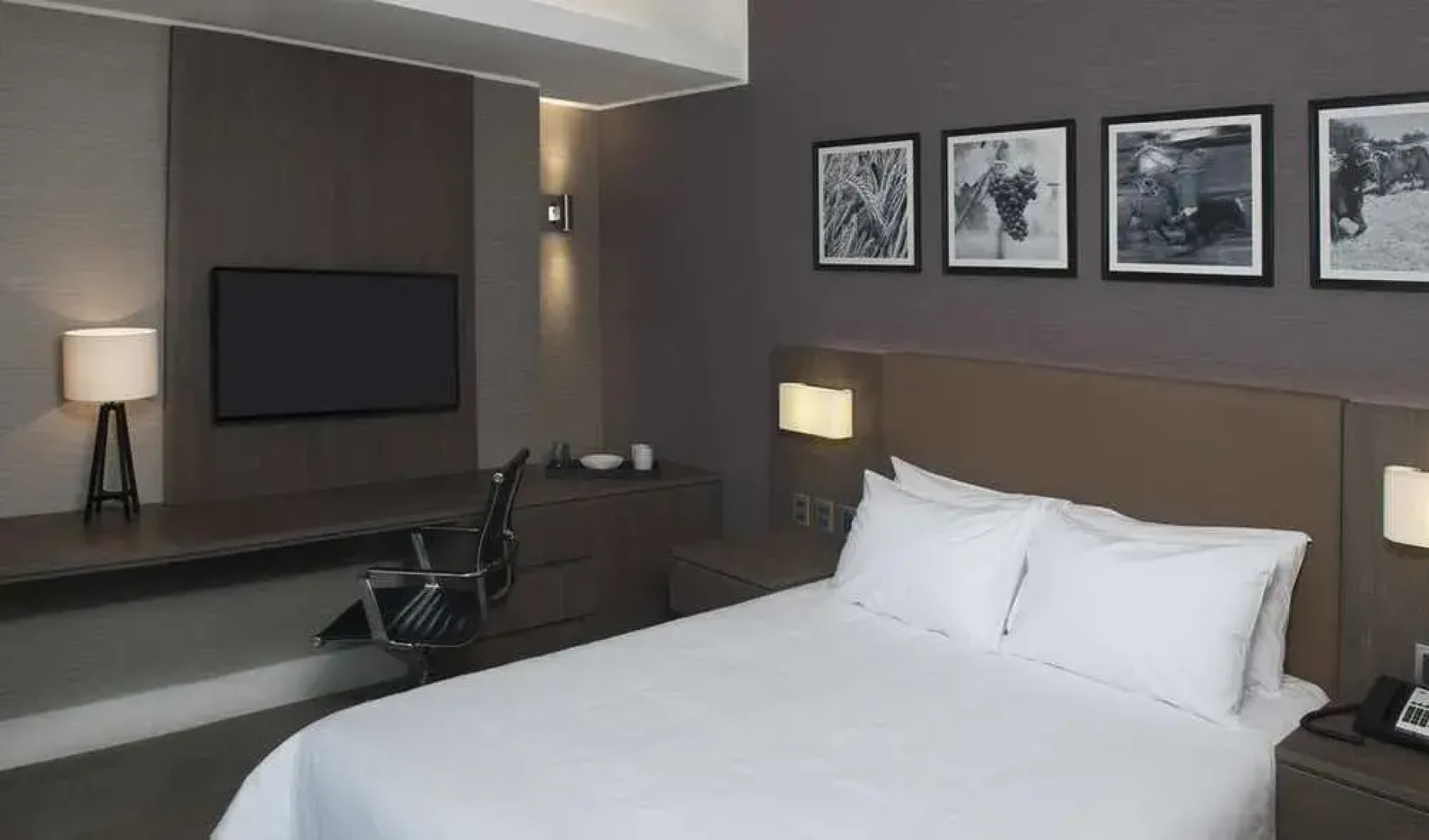 Hampton by Hilton Rancagua