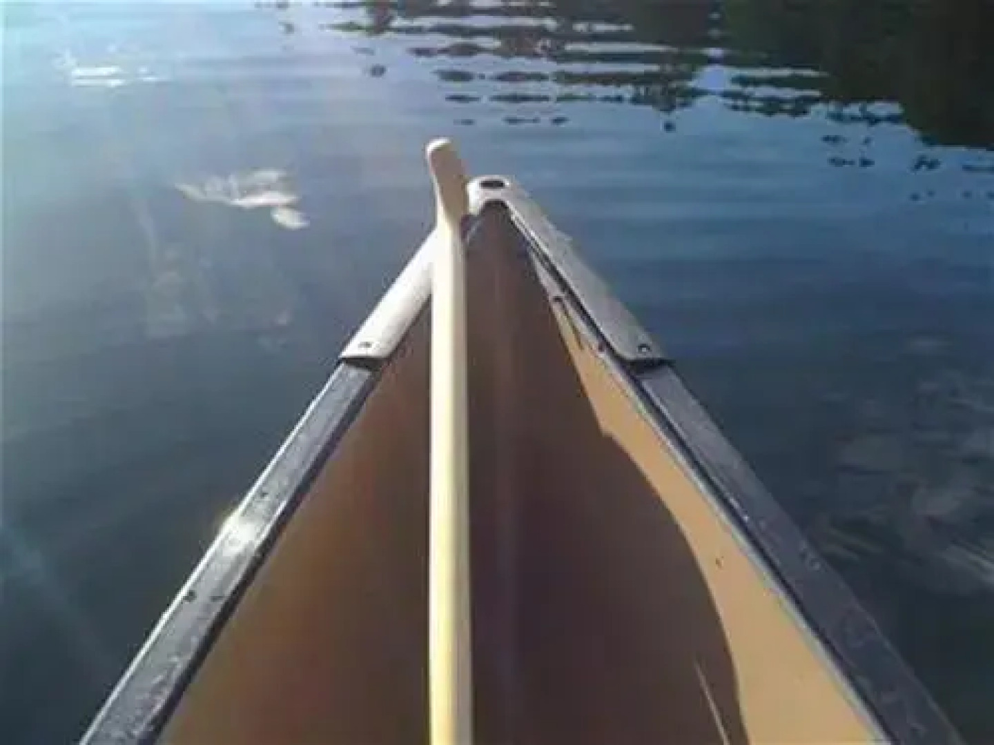 Dragonfly Dock Bed and Breakfast