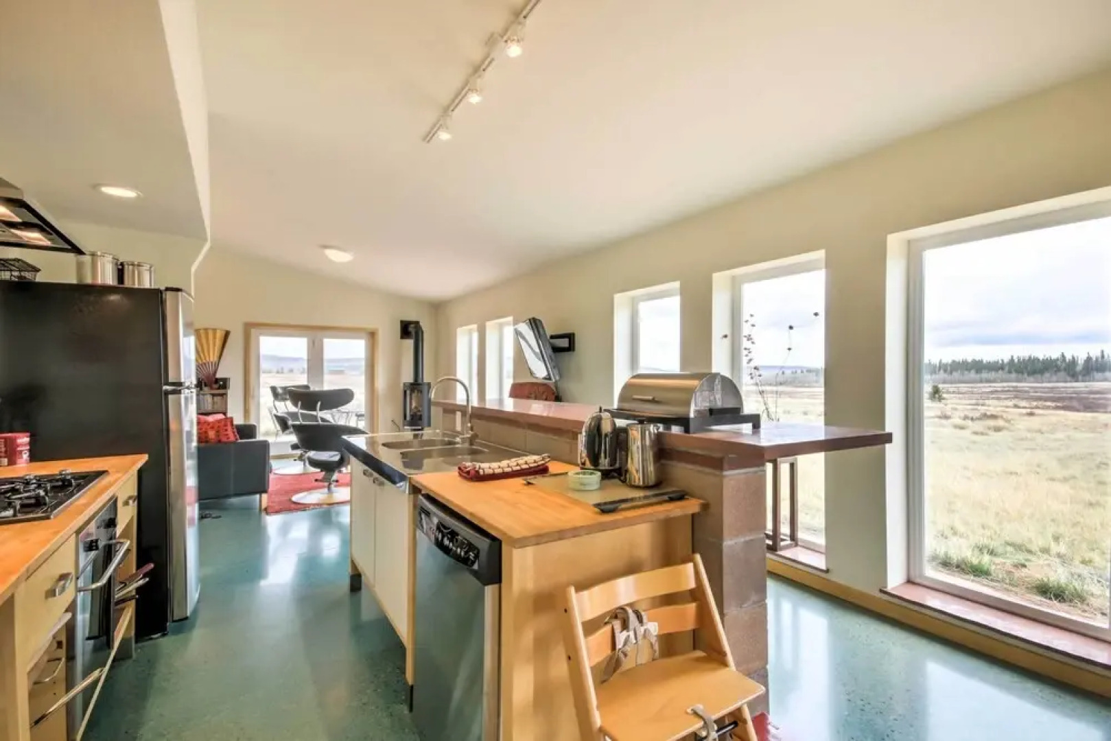 Private Fairplay Home w/ Fishing Pond & Mtn Views!