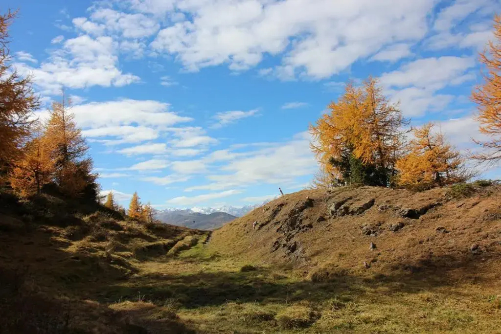 Ferienwohnung Plattner