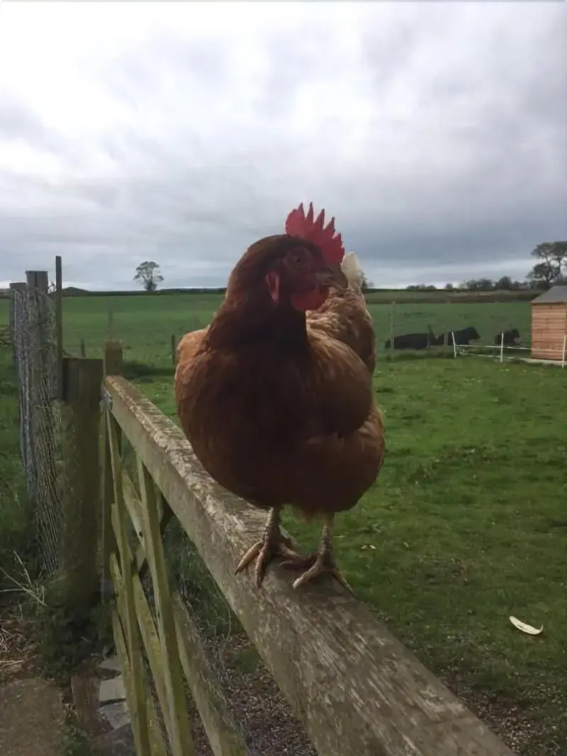 The Moorhead Bed & Breakfast