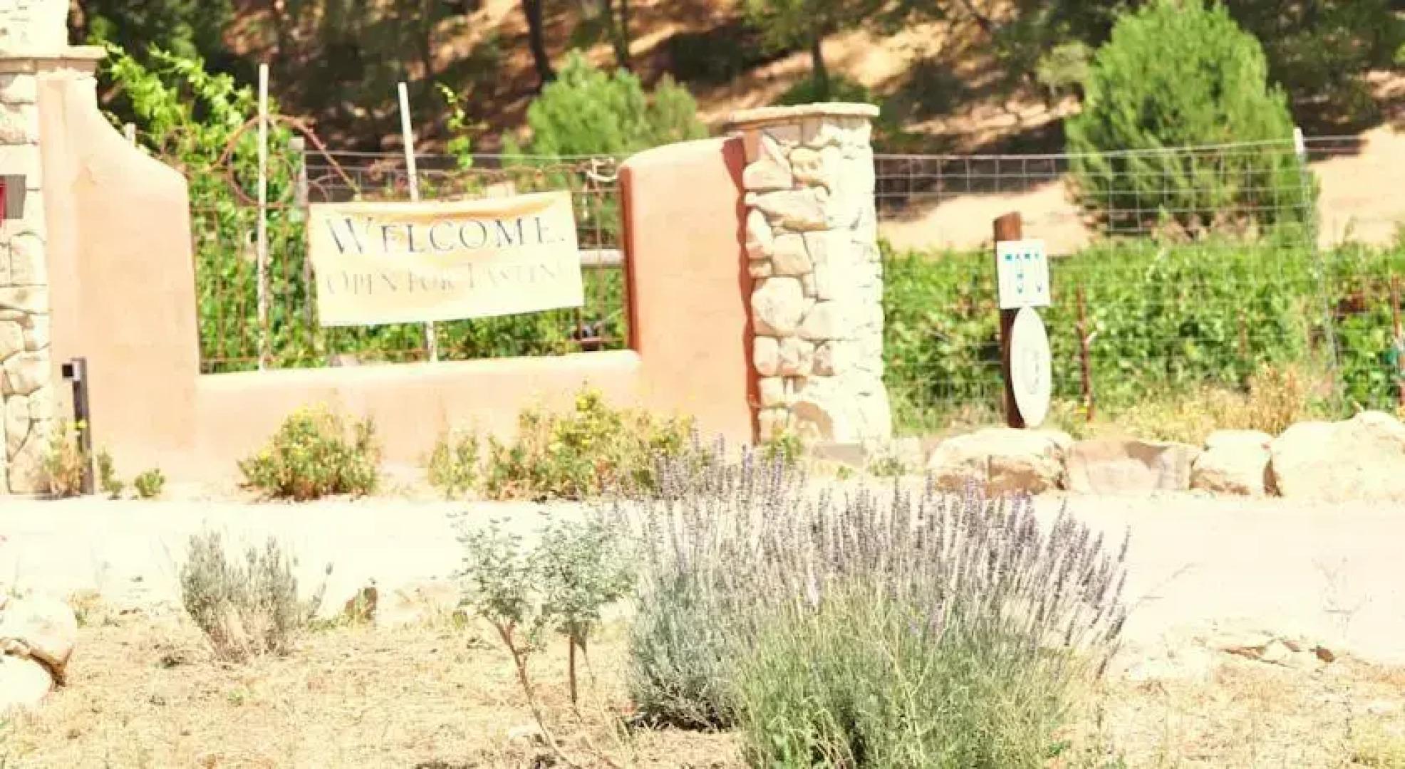 Villa Vino at Poalillo Vineyards