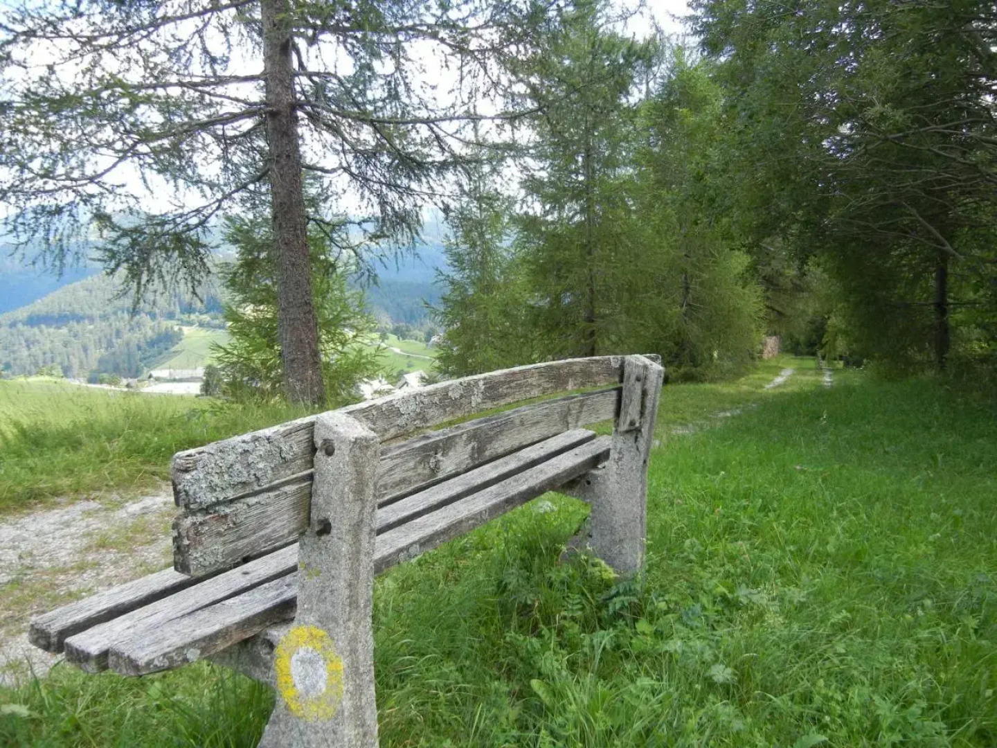 Apartments and rooms Tolc