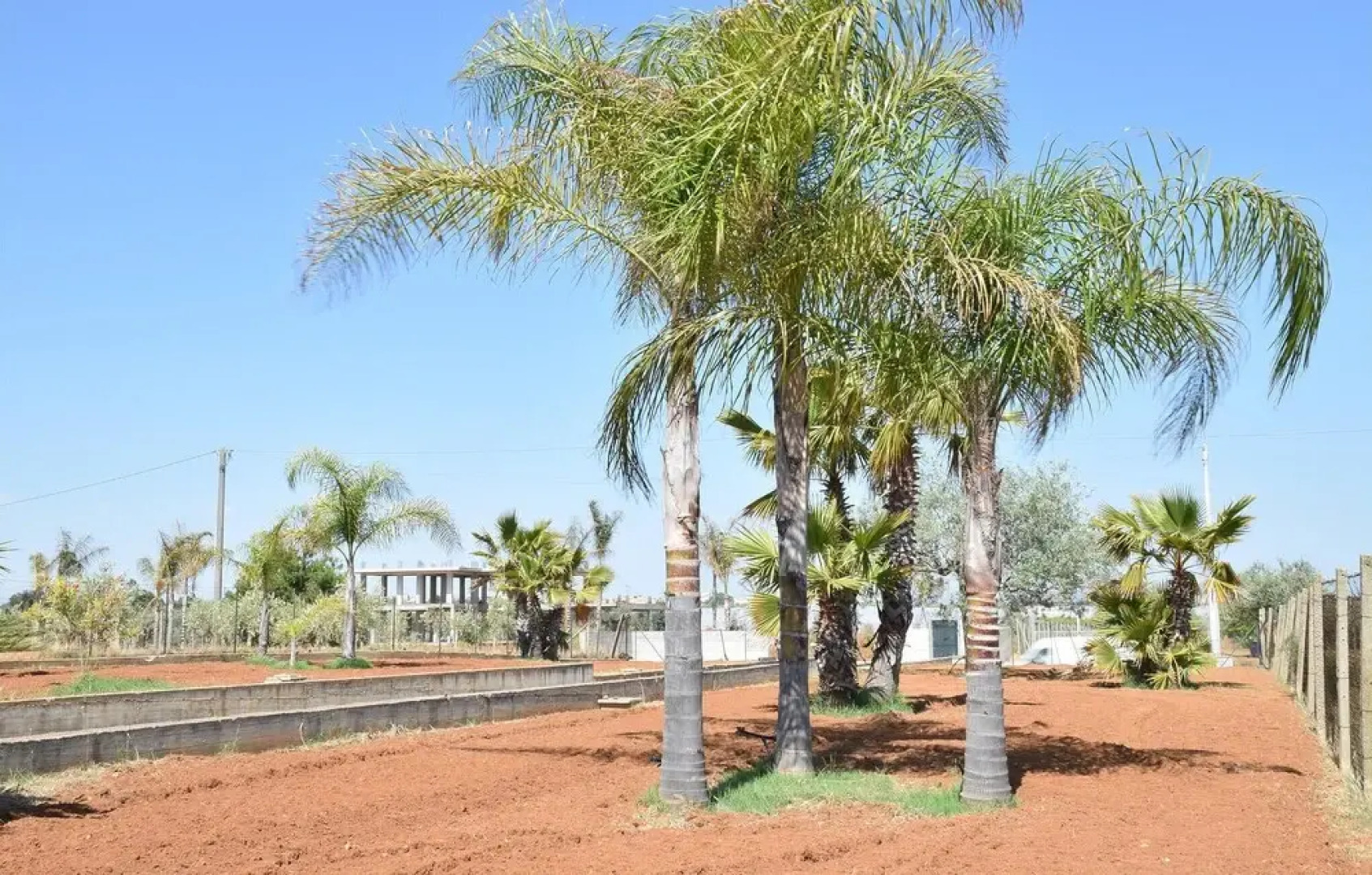 Amazing Home in Acate With Outdoor Swimming Pool, Wifi and 2 Bedrooms