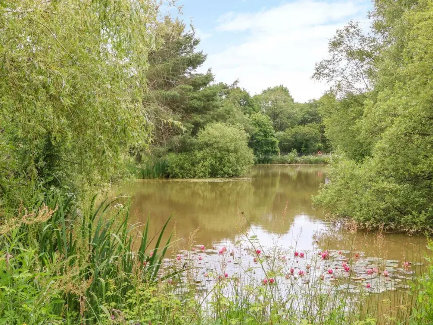 Beech Tree Kingslakes