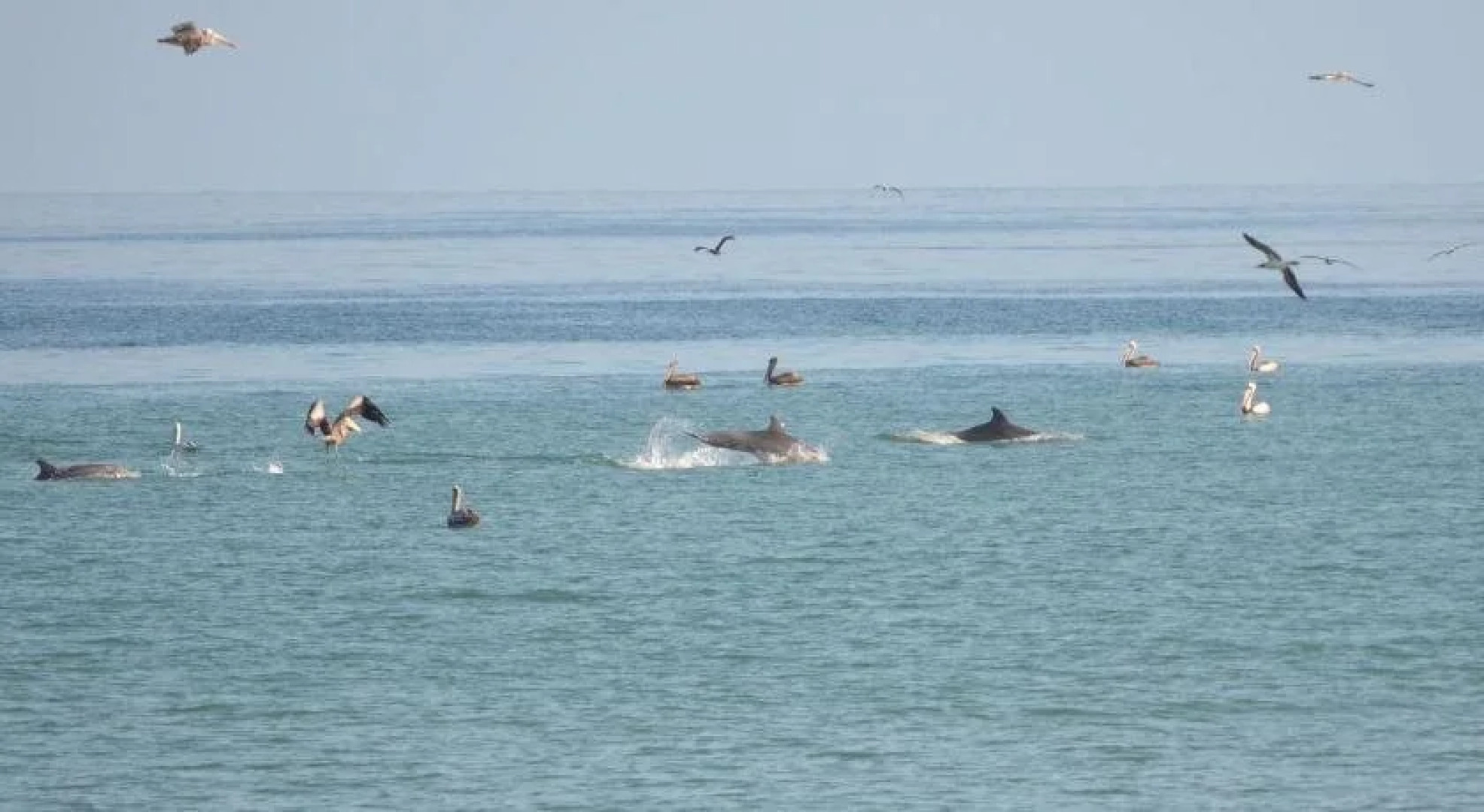 Punta Mero Eco Suites