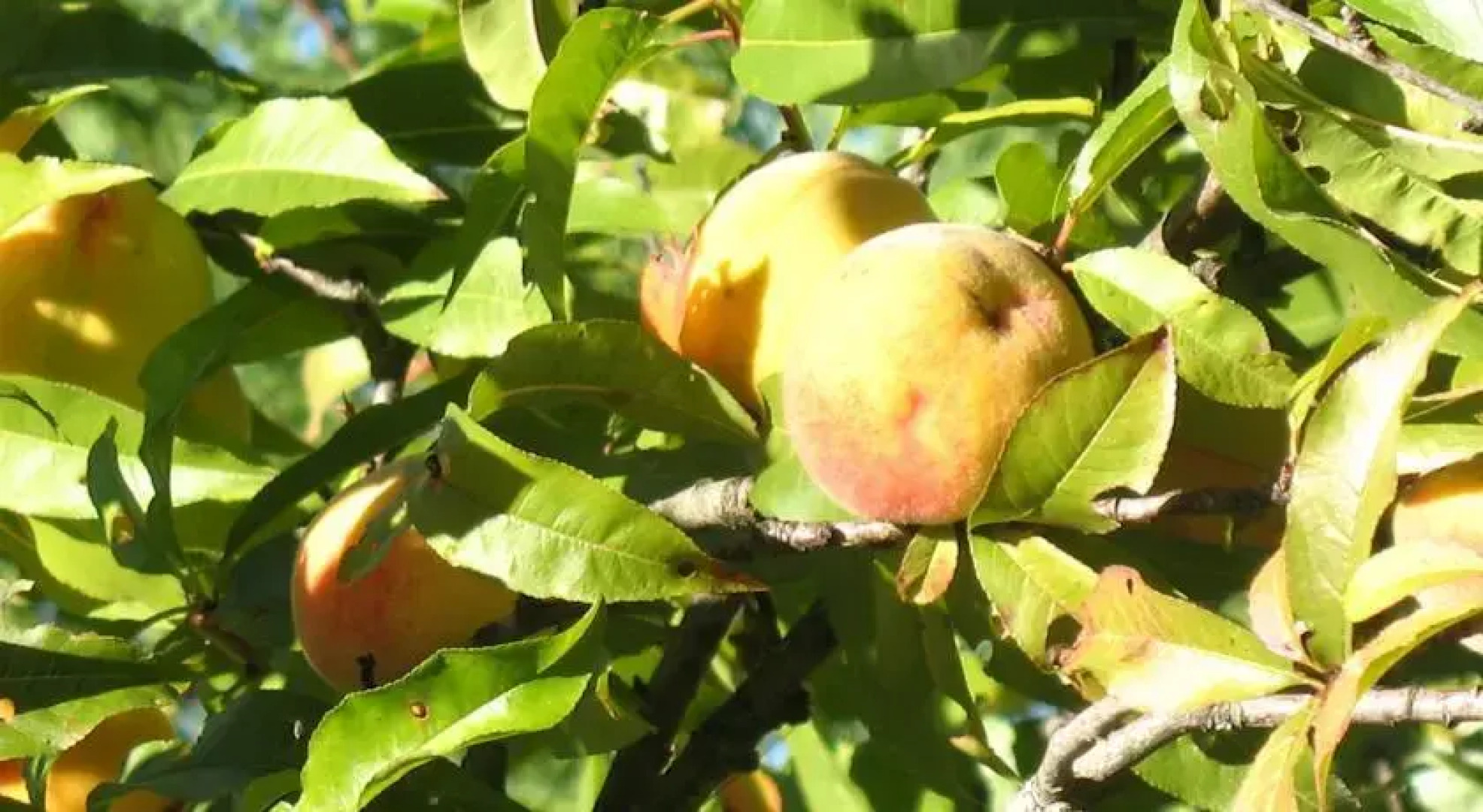 Aux Portes du Périgord Noir