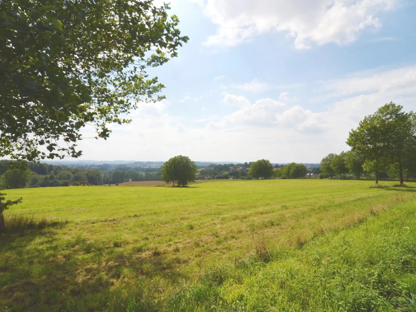 Mansion With Stunning View