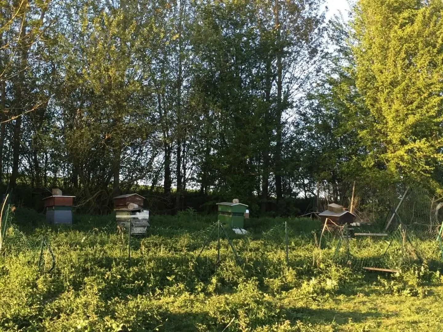 La Ferme des Moulineaux