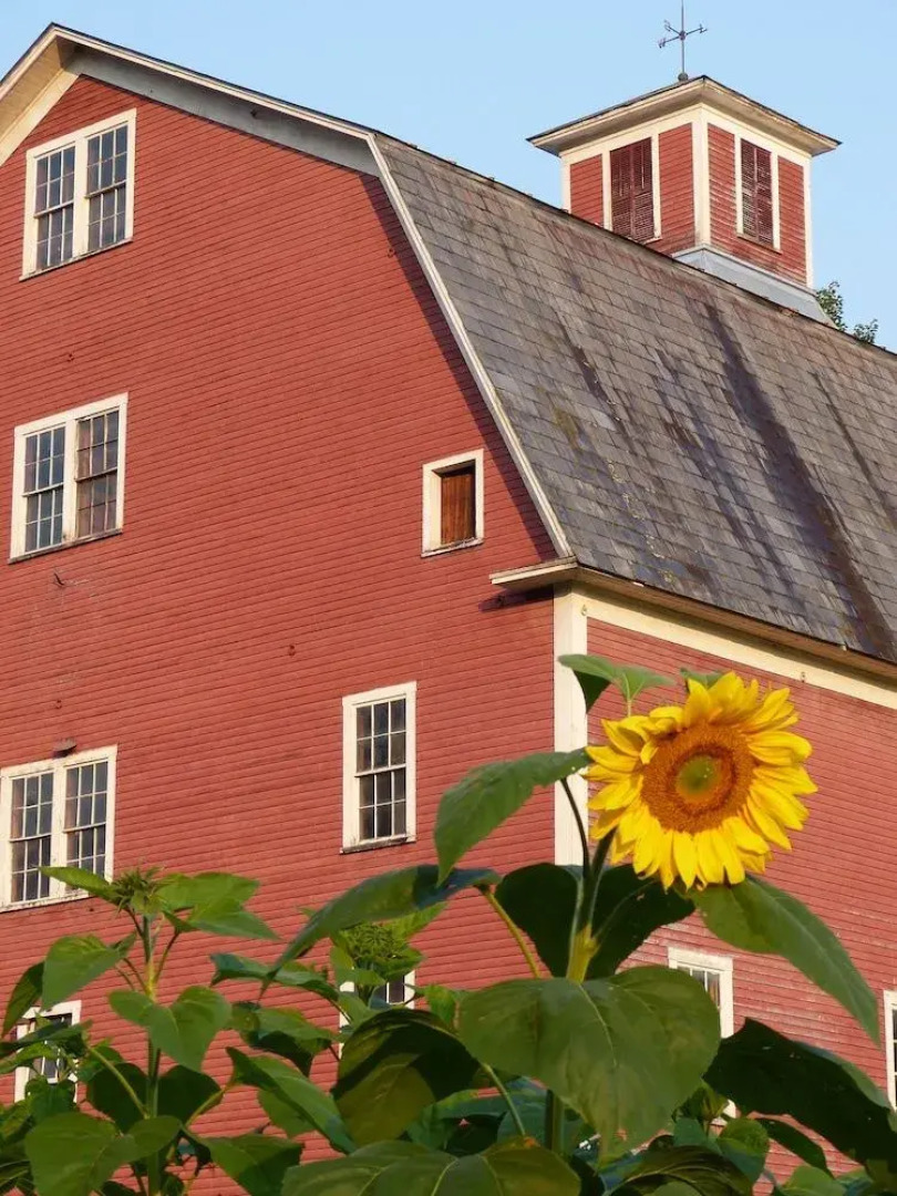 Farmhouse Inn at Robinson Farm
