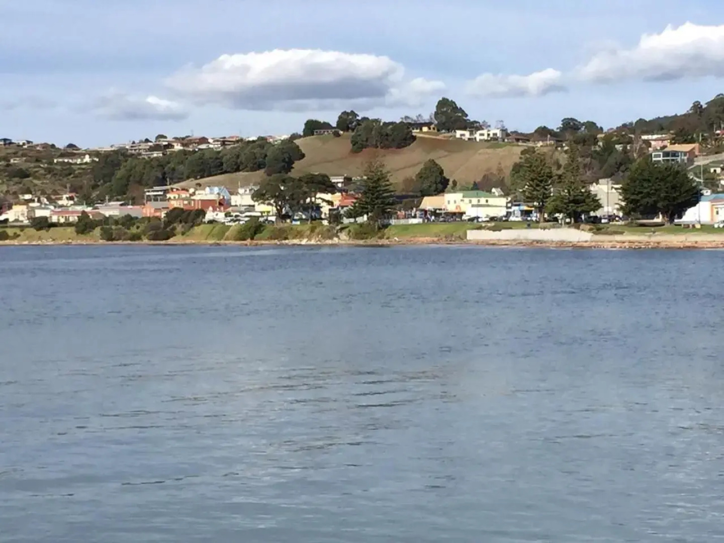 Penguin Seaside Homestay