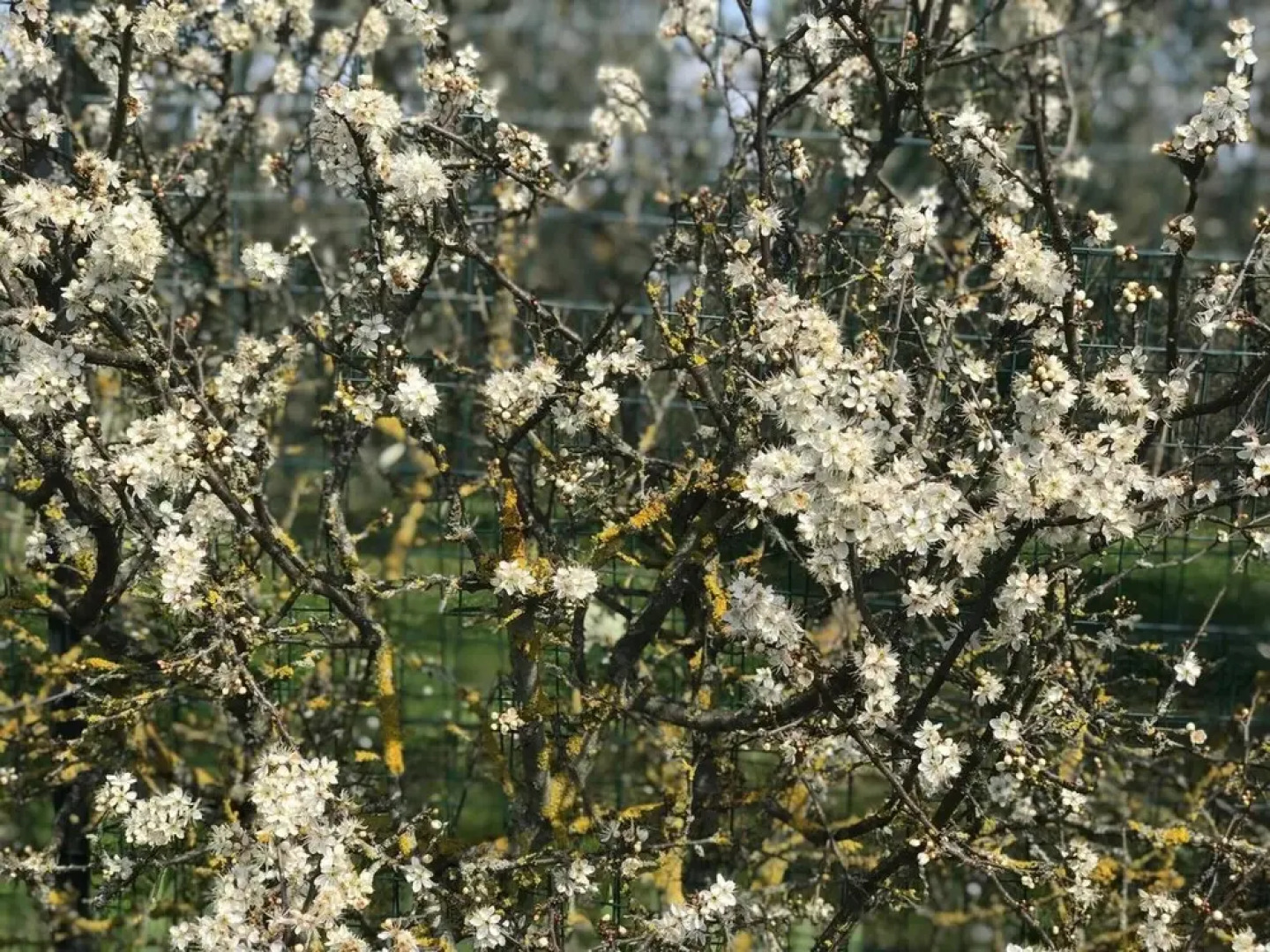 Apartment With one Bedroom in Lastra a Signa, With Wifi