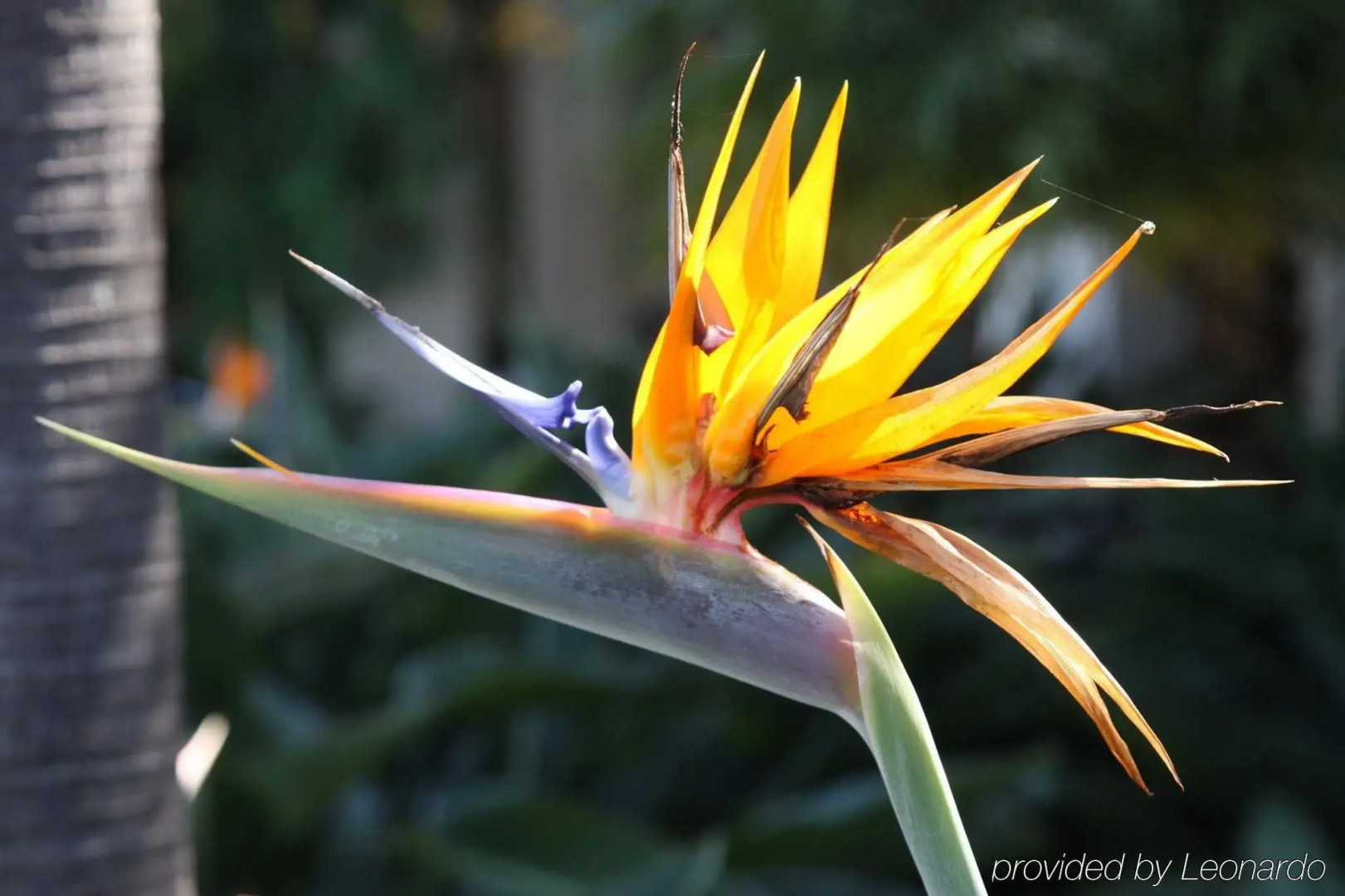 Porta Hotel del Lago