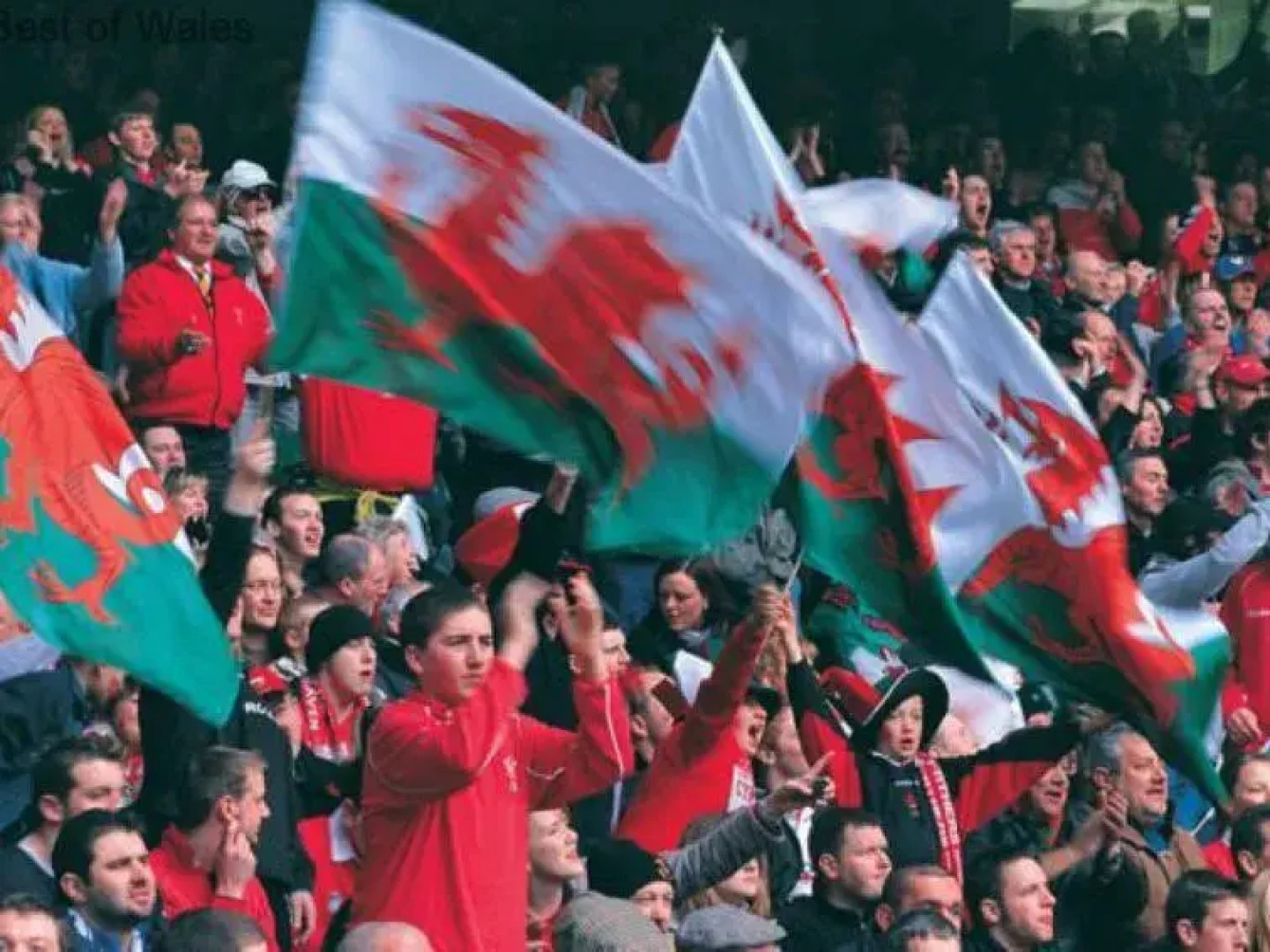 Holiday Home Cysgod y Coed