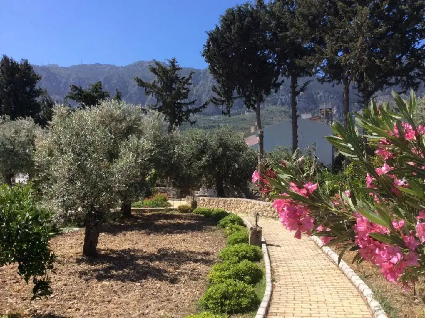 Olive Garden Holiday Homes