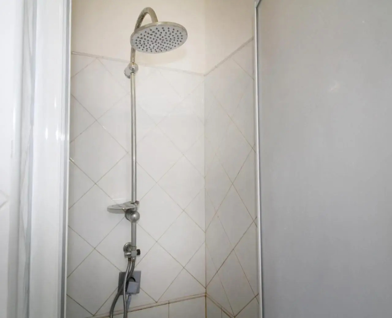 La Gabbianella E Il Gatto