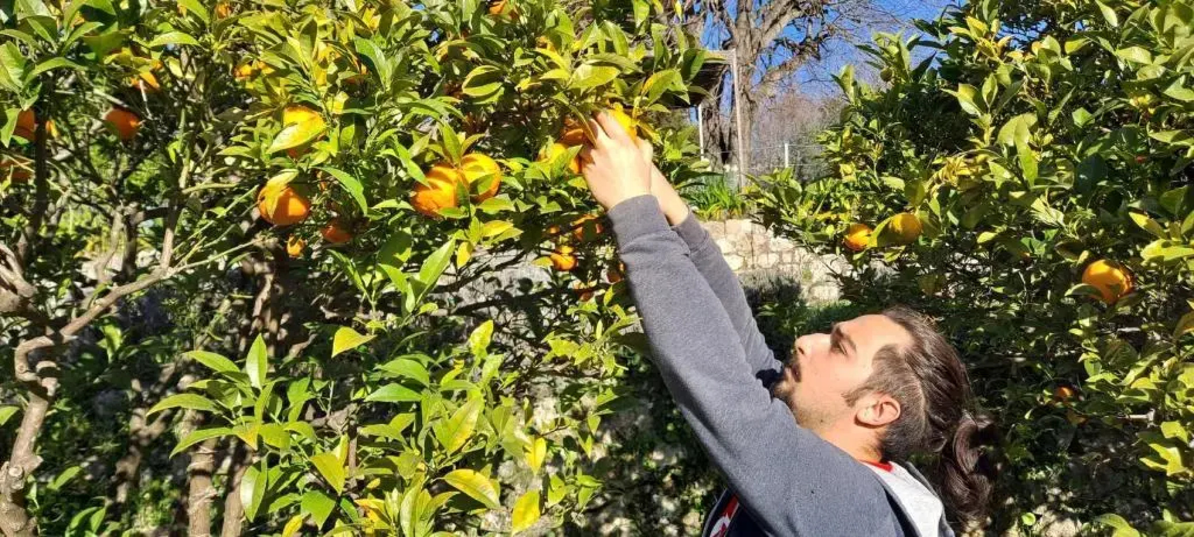 Listed Accomodation 4 At 300m river 800m village and 30mn Nice Cannes Antibes