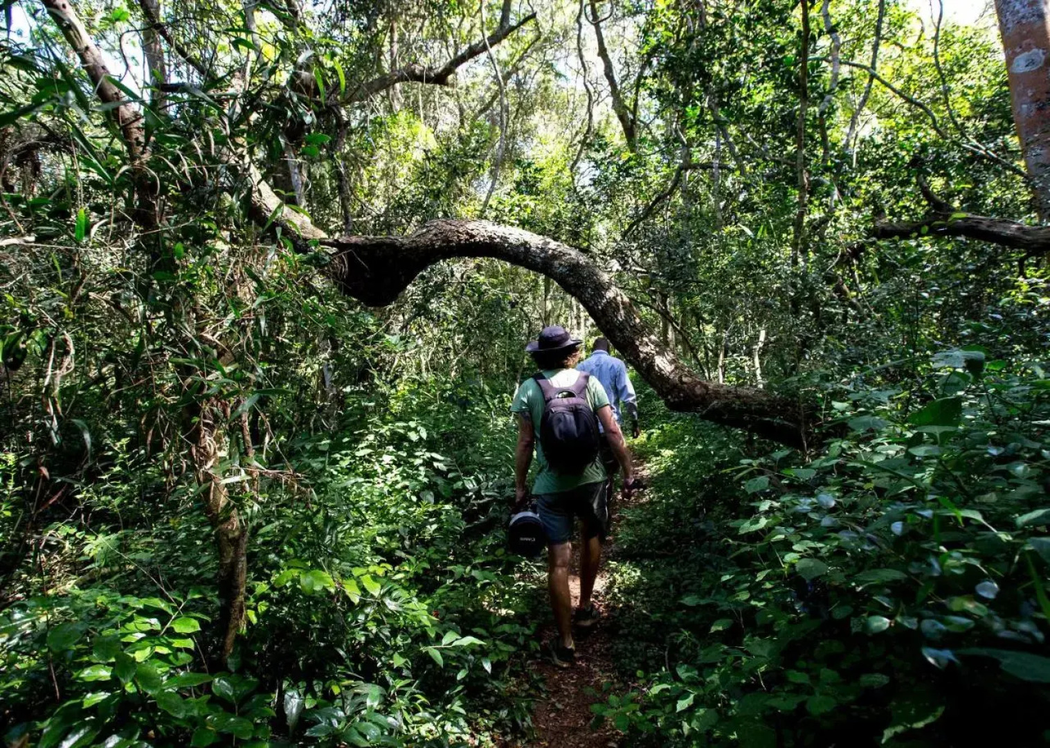 Royal Thonga Safari Lodge