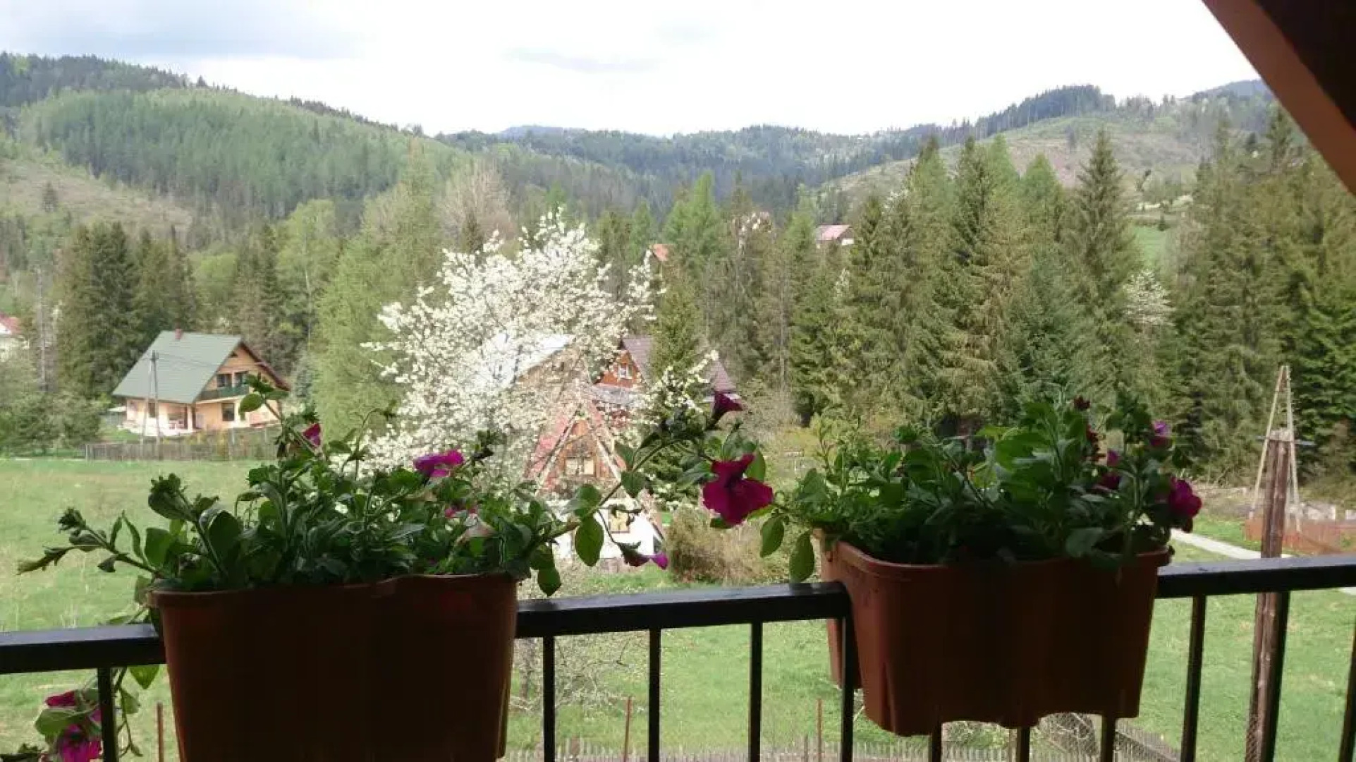 Dom Wakacyjny Letnisko