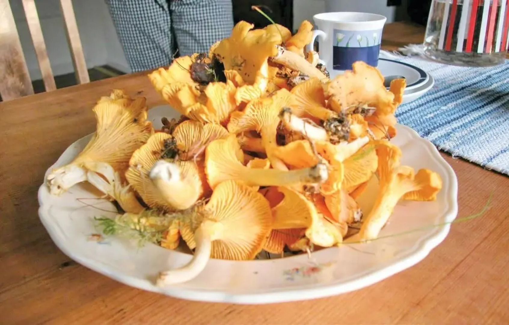 Amazing Home in Mellerud With 2 Bedrooms