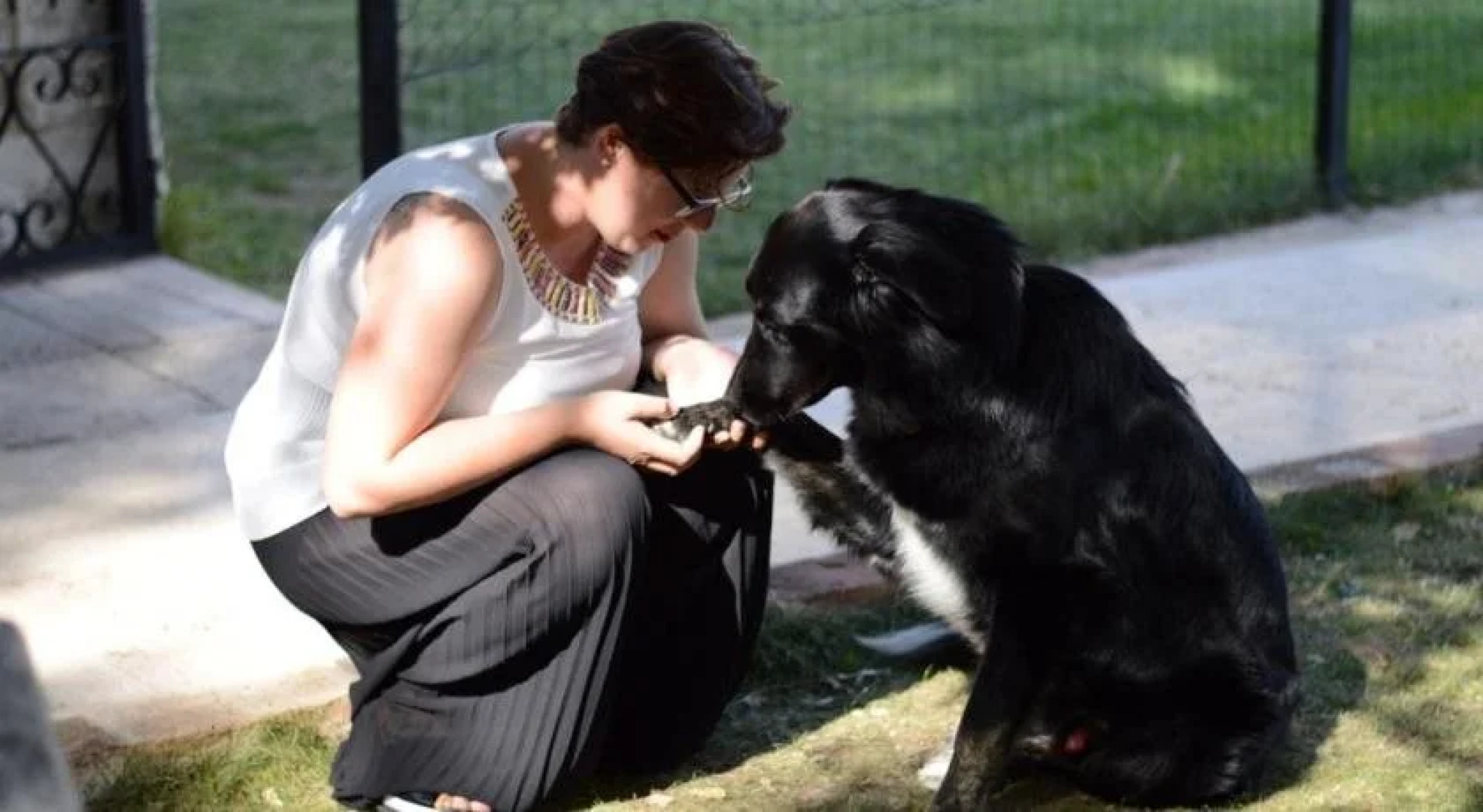 Agriturismo Podere La Selva