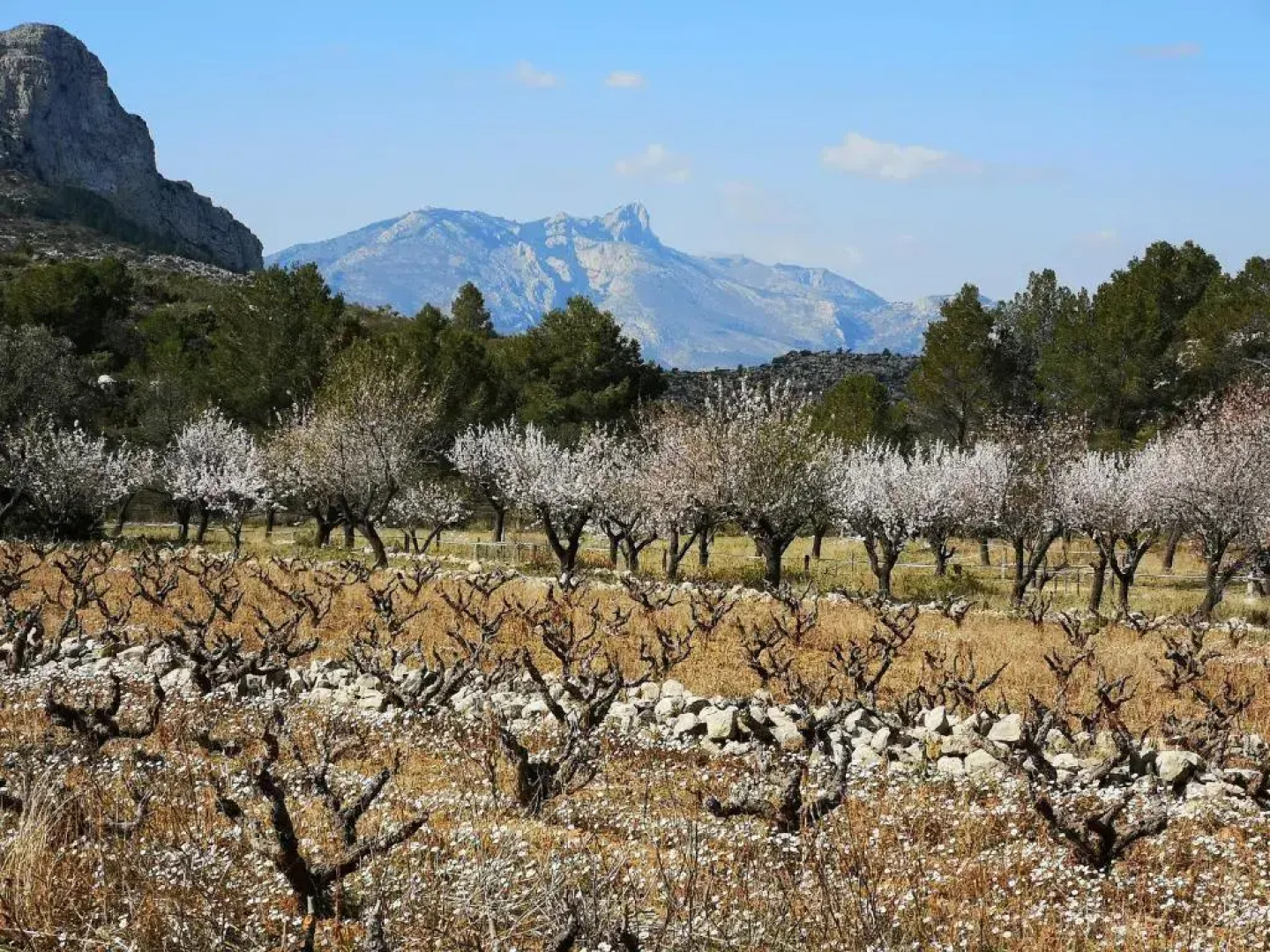 La Madrugada - Luxury Moraira Villa With Private Heated Pool