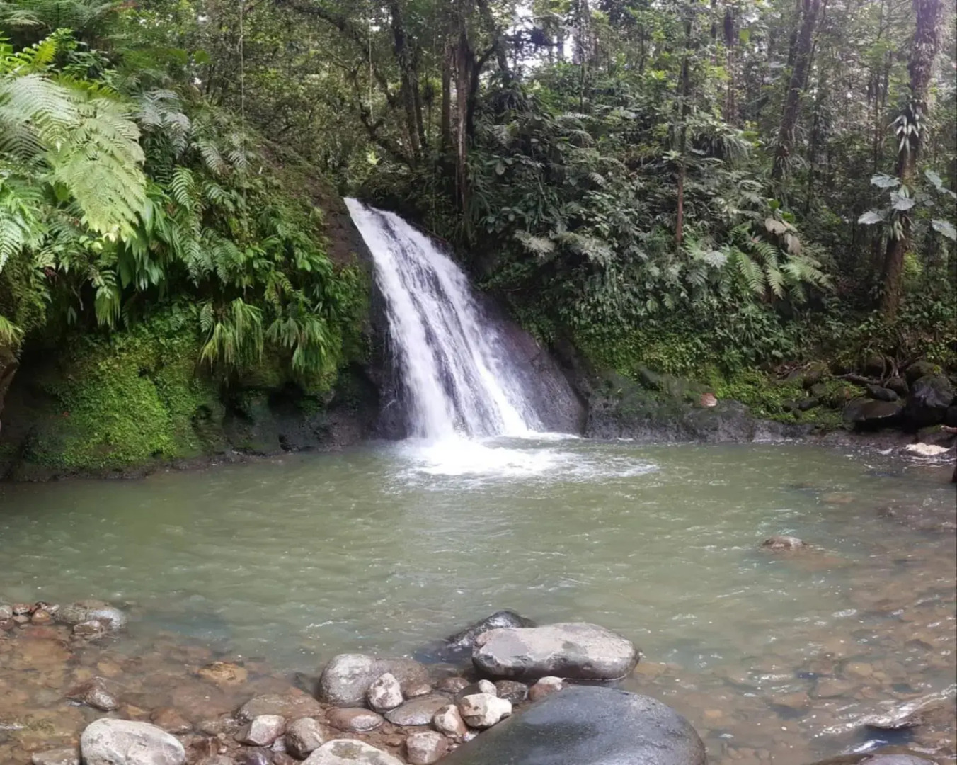 Studio ds résidence sécurisée avec vue & accès à la mer .