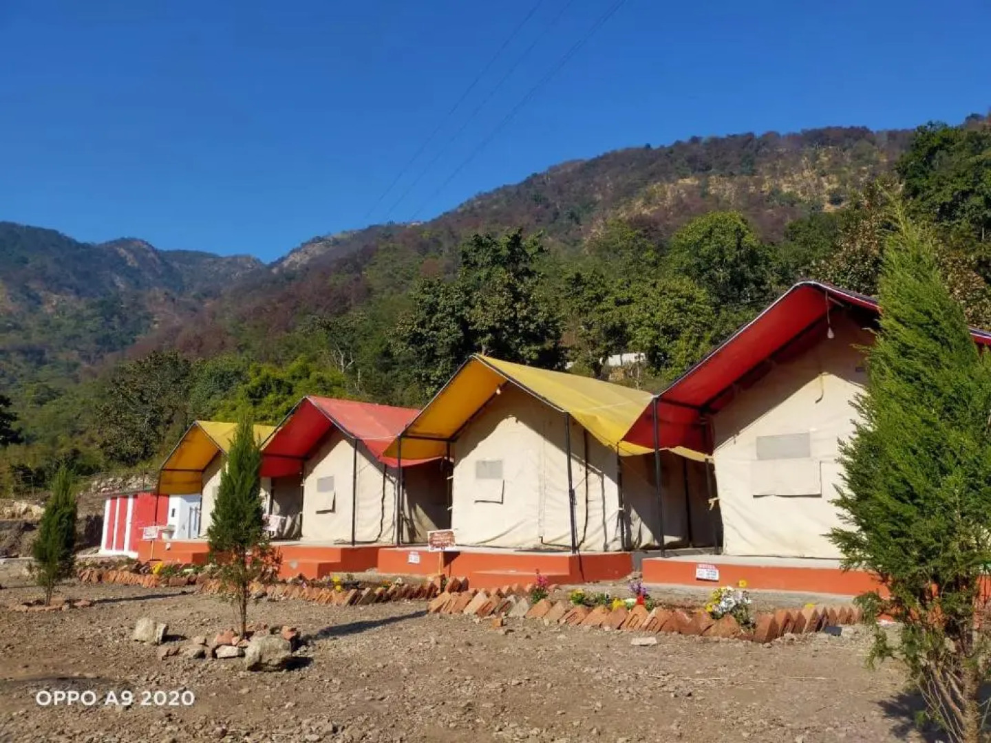 The Jungle Mist Resort