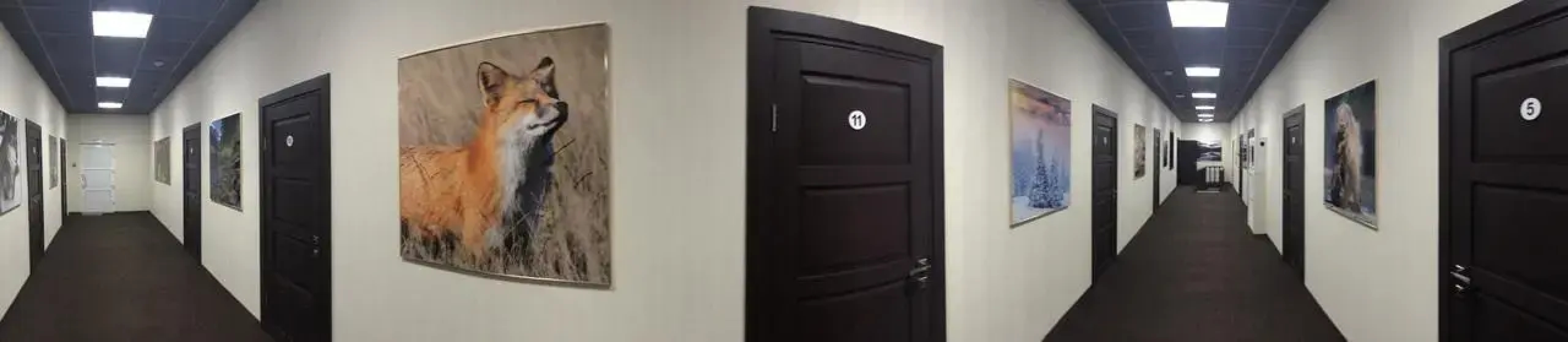 Тайга