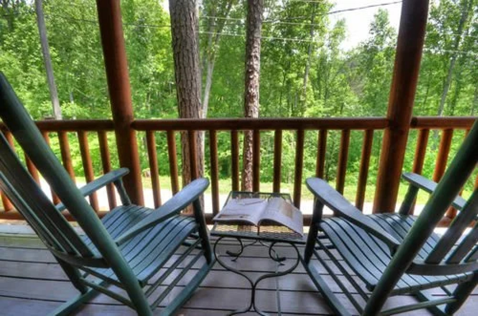 Nantahala Rafting Bear