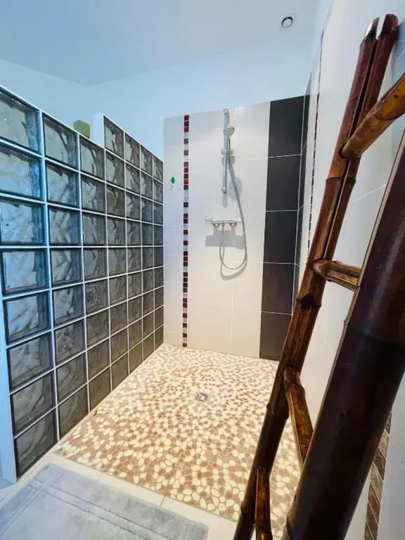 Beautiful house with large terrace in the heart of Touraine