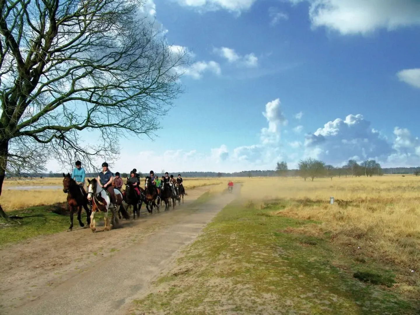 Furnished Chalet Located near Oisterwijkse Vennen