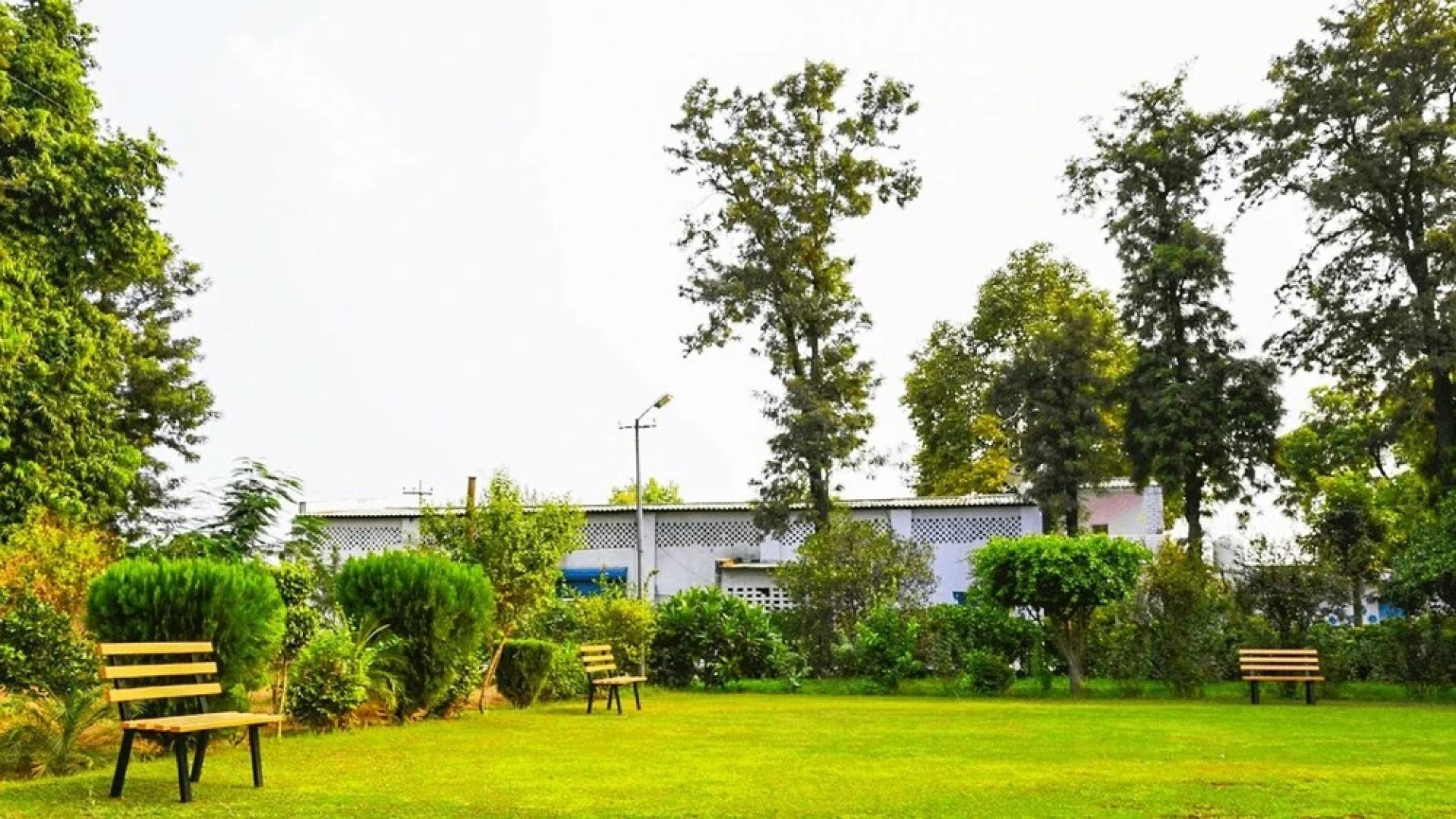 V Resorts Casa Delhi