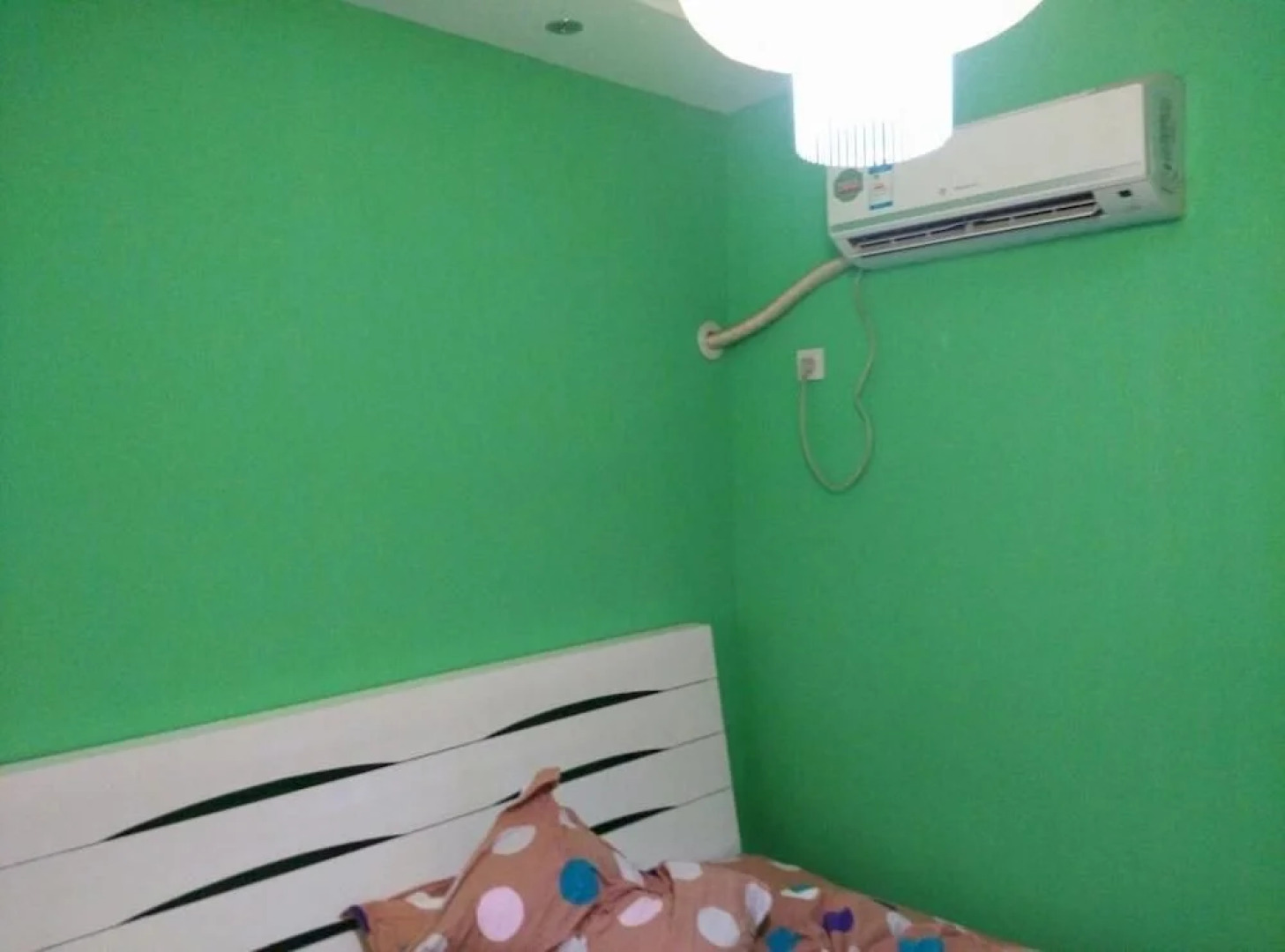 Migratory Bird In Fenghuang Inn