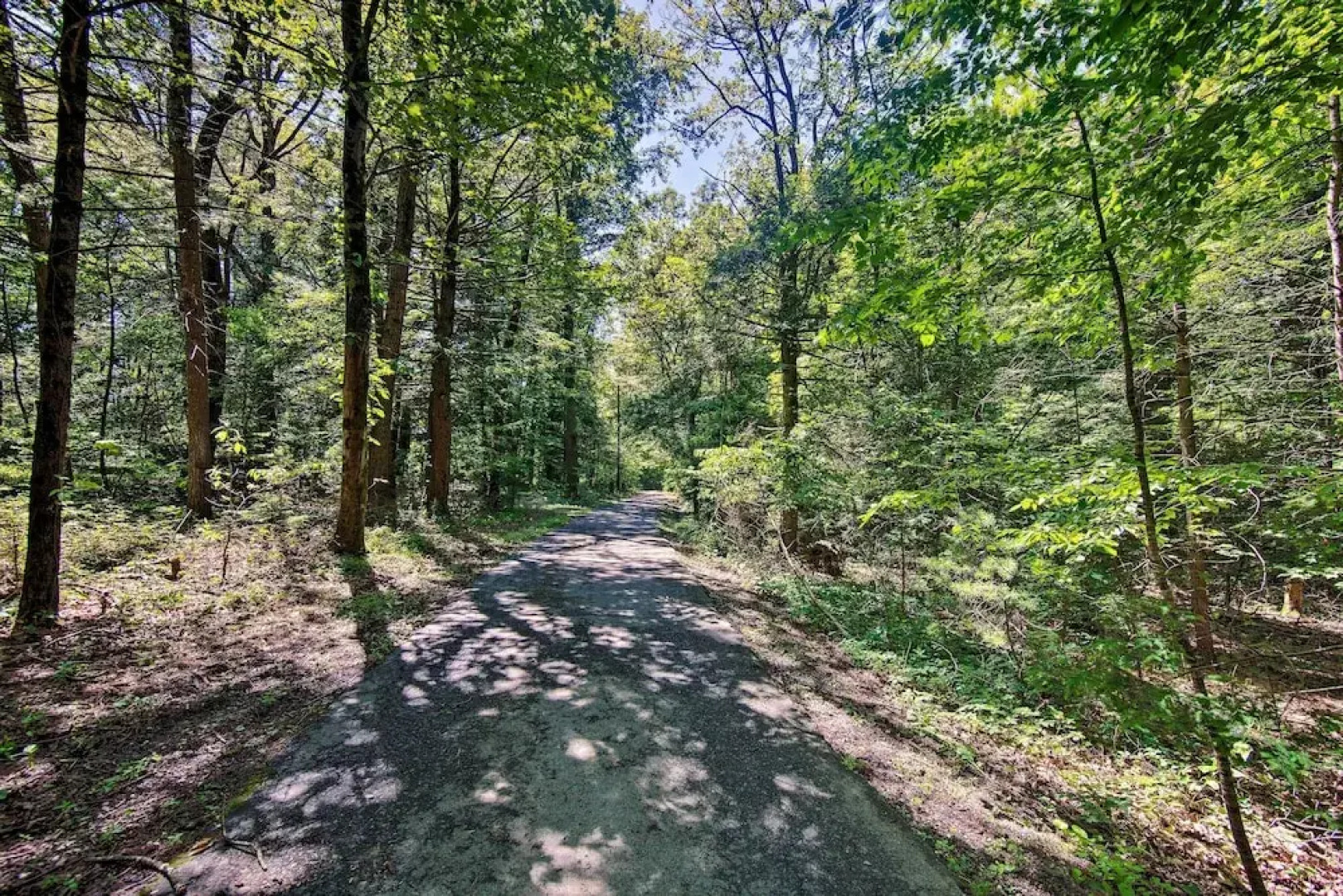 Hike, Hunt & Unwind: Cozy Cabin Near Hersheypark