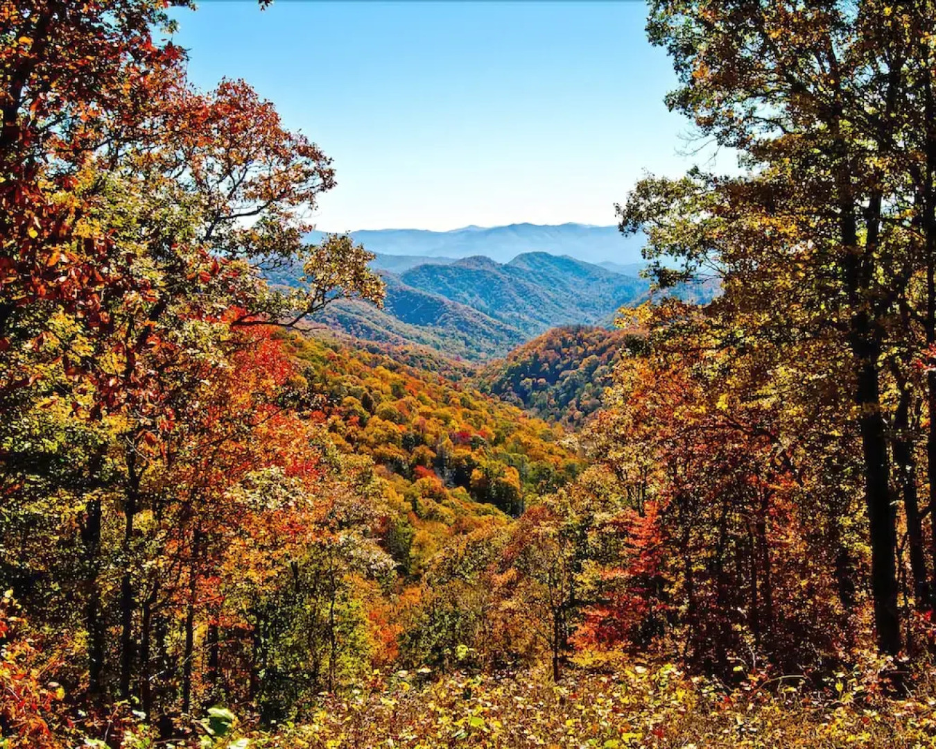 Mountain Top - Two Bedroom Cabin