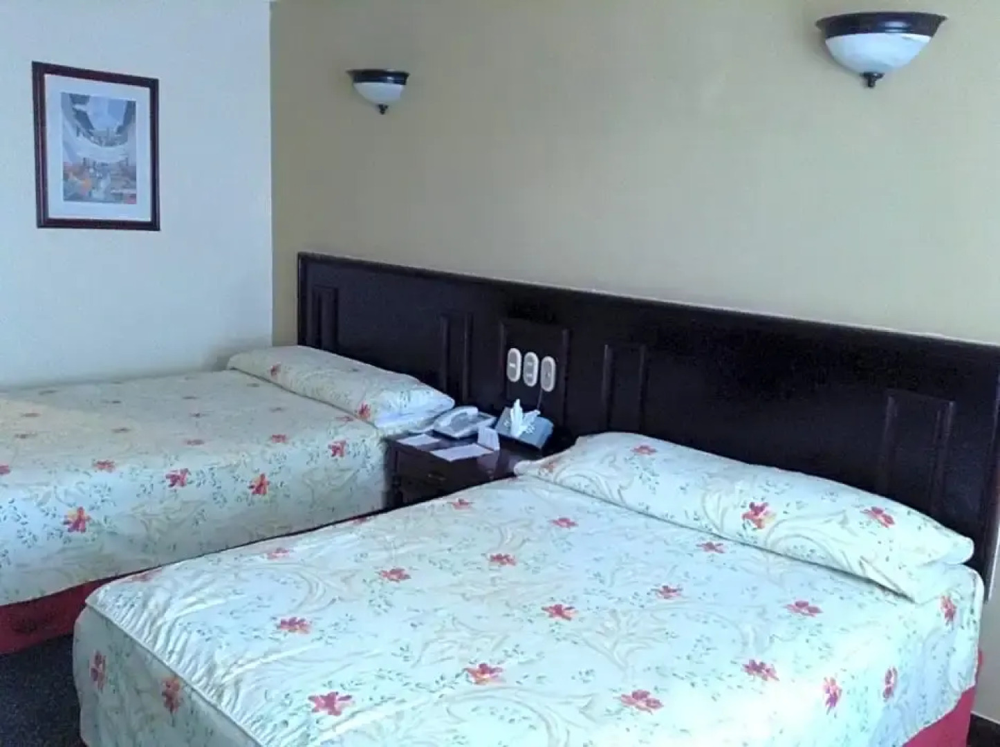 Real De Uruapan Hotel