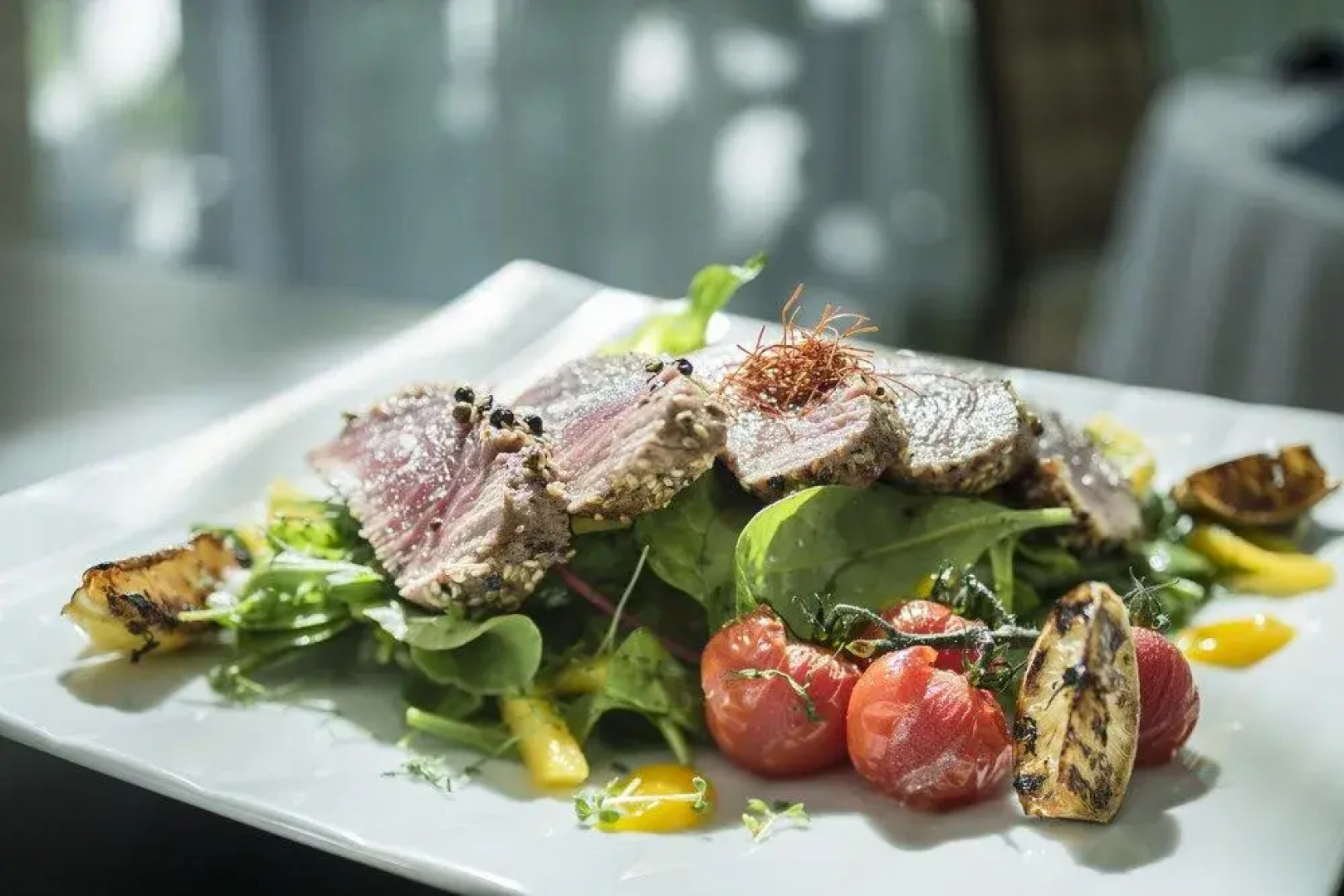 Spa Resort Tree of Life