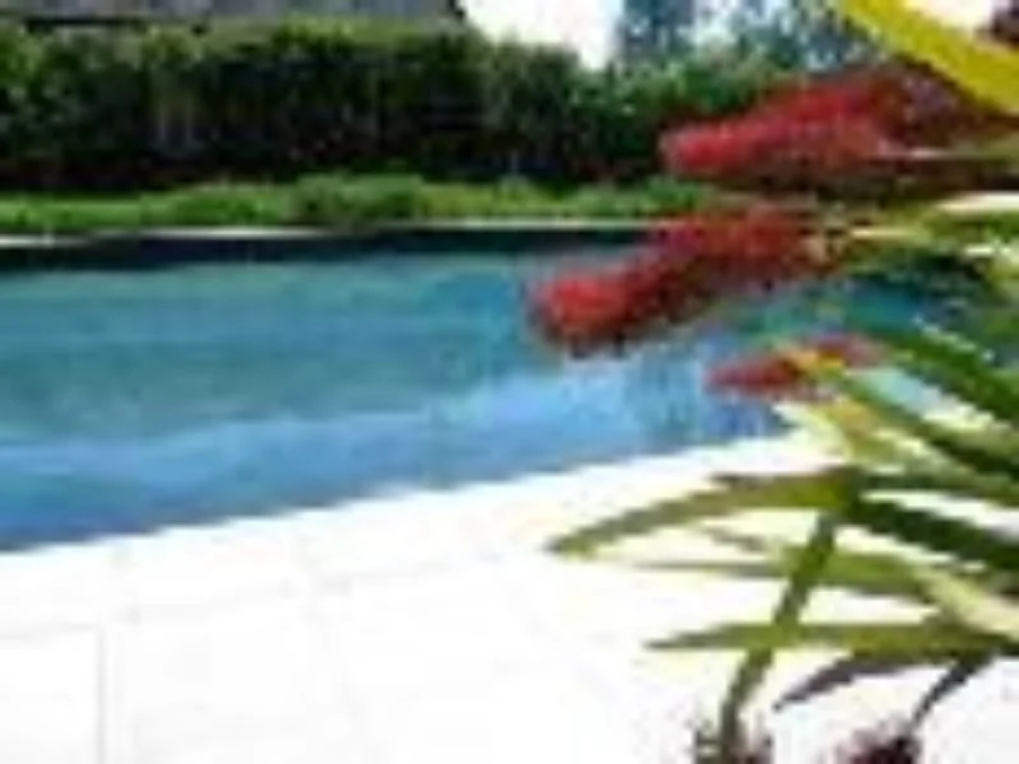 Ascot Parnell Botique Bed and Breakfast