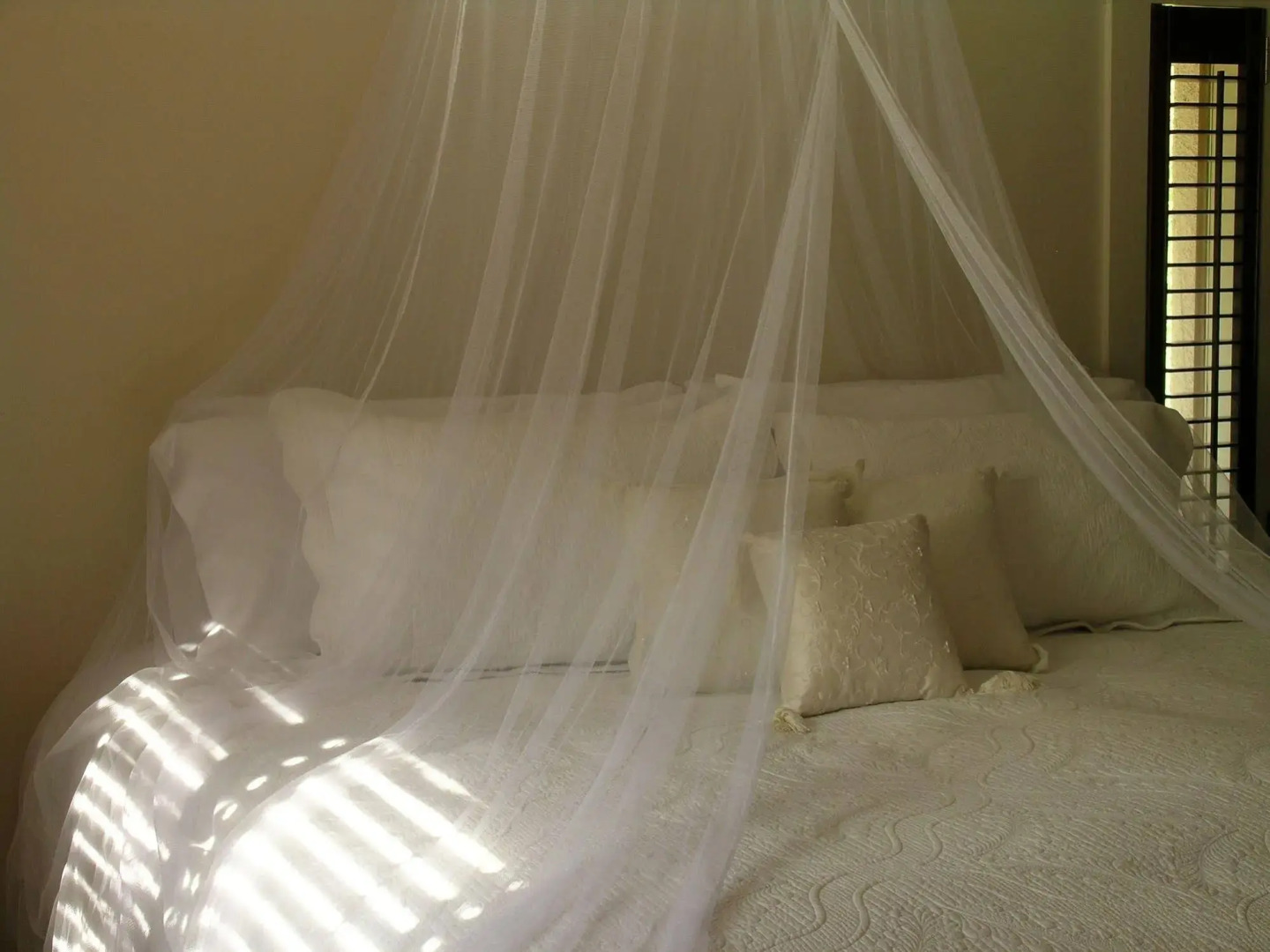 Plantation House Bed & Breakfast