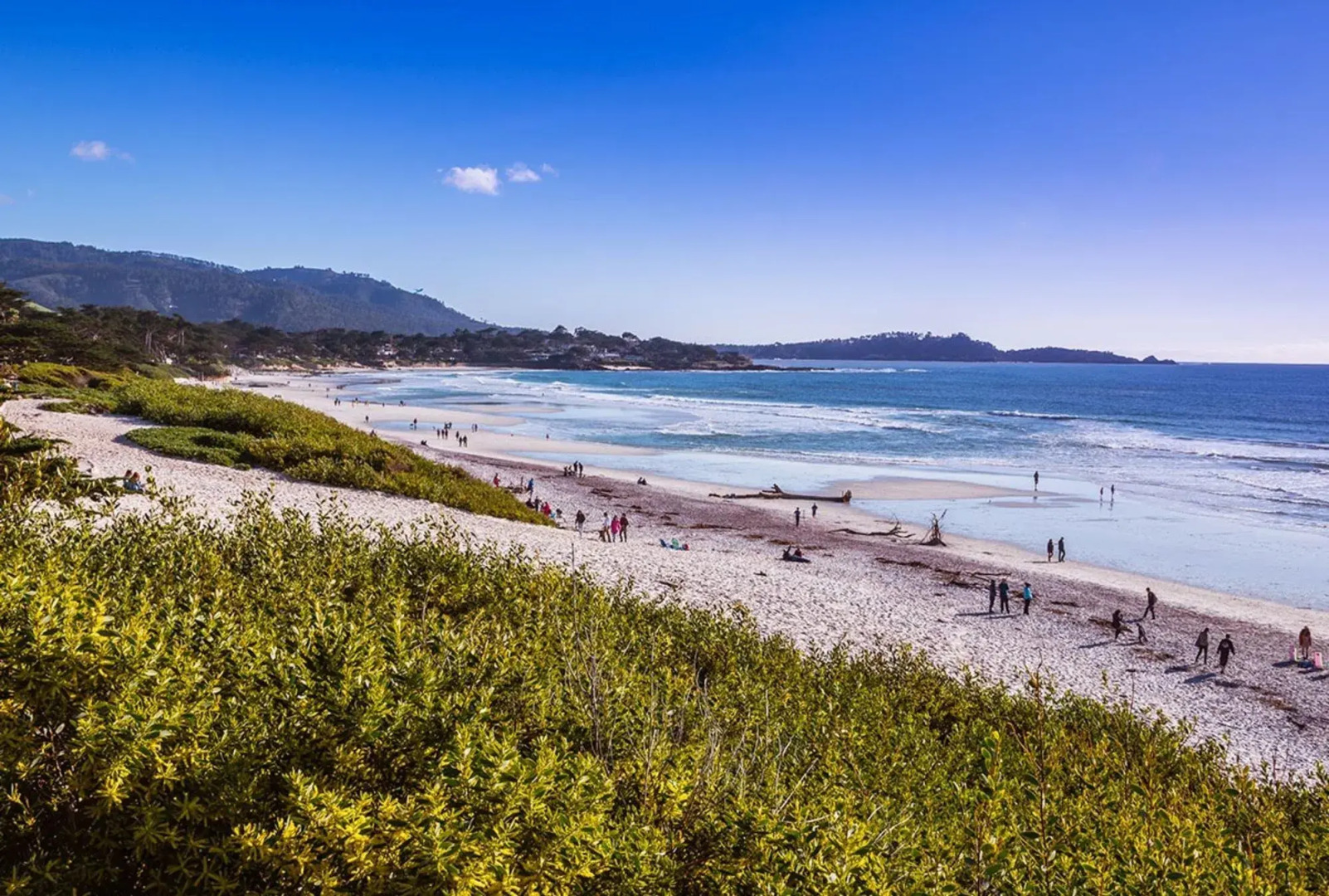 Tradewinds Carmel