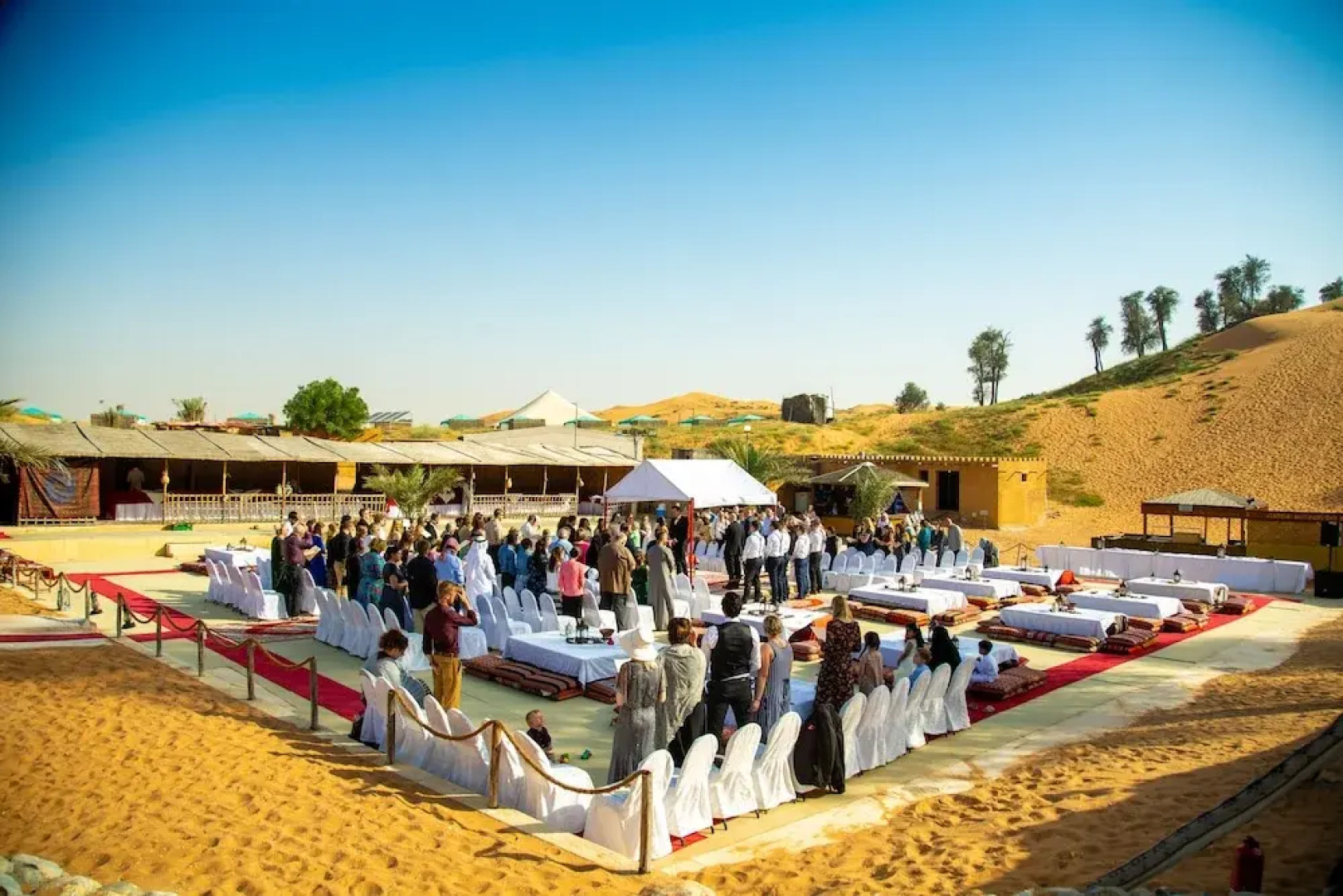 Bedouin Oasis Camp