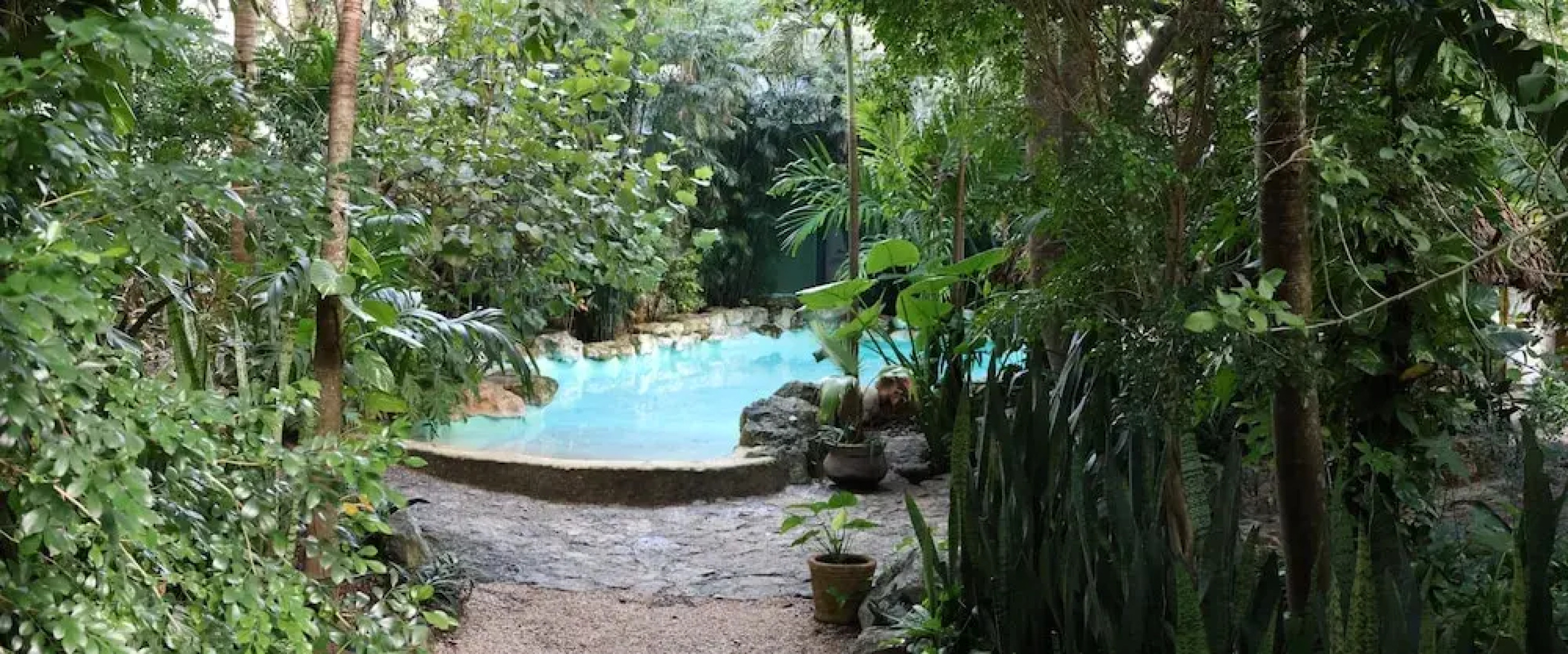 Genesis Eco-Oasis Ek Balam