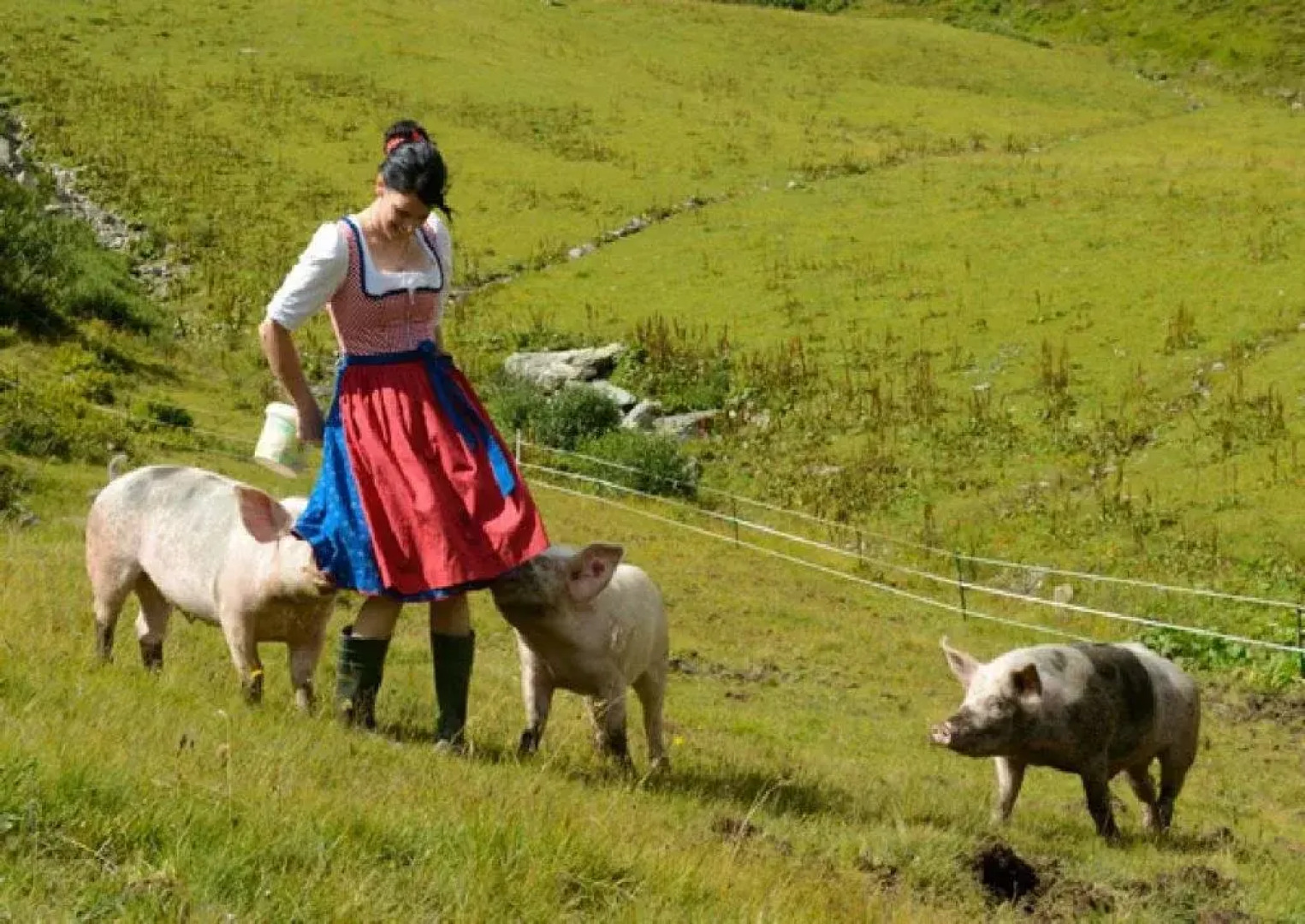 Apartment Gästehaus Luggau