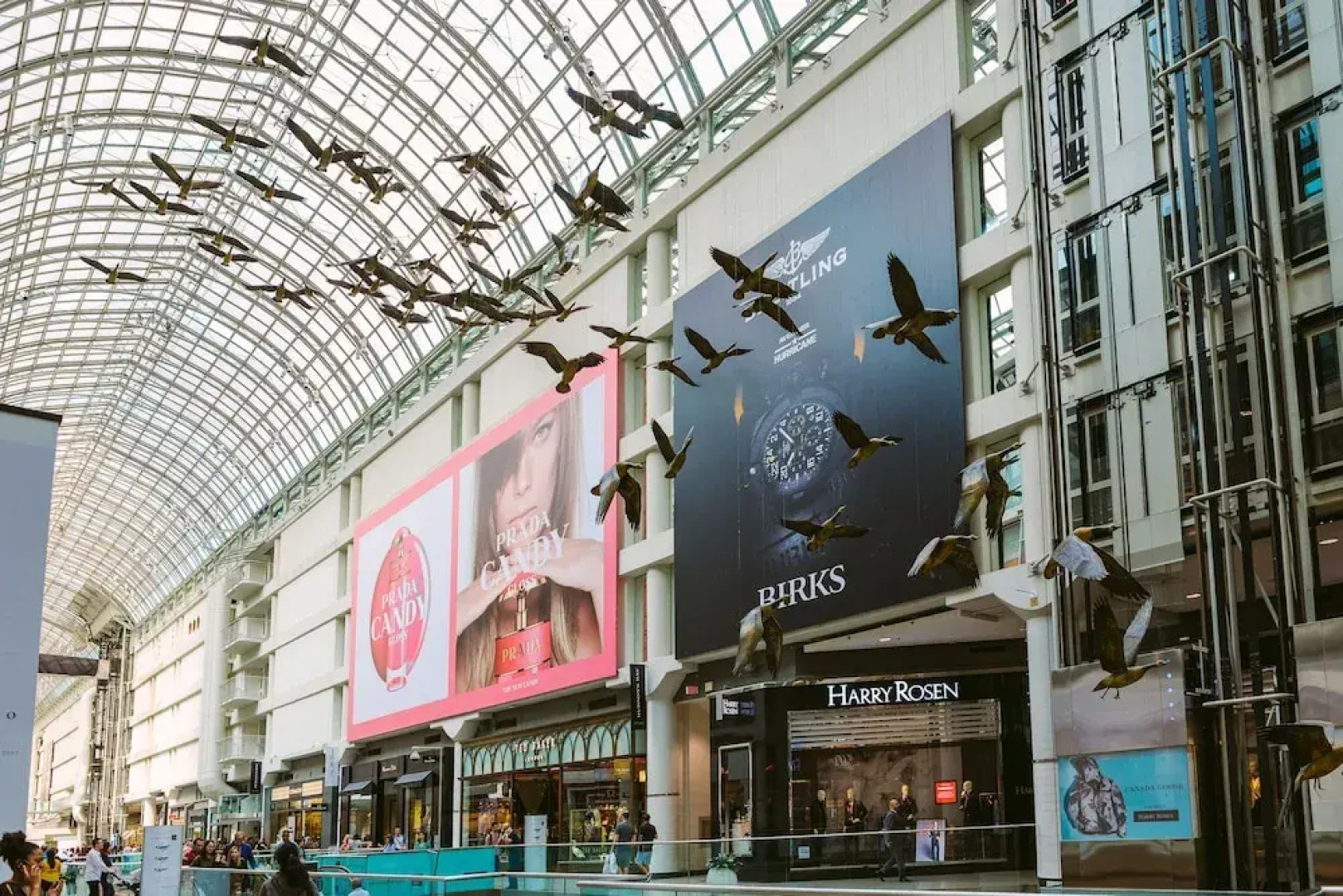 QuickStay - Beautiful 5bdrm House in Vaughan