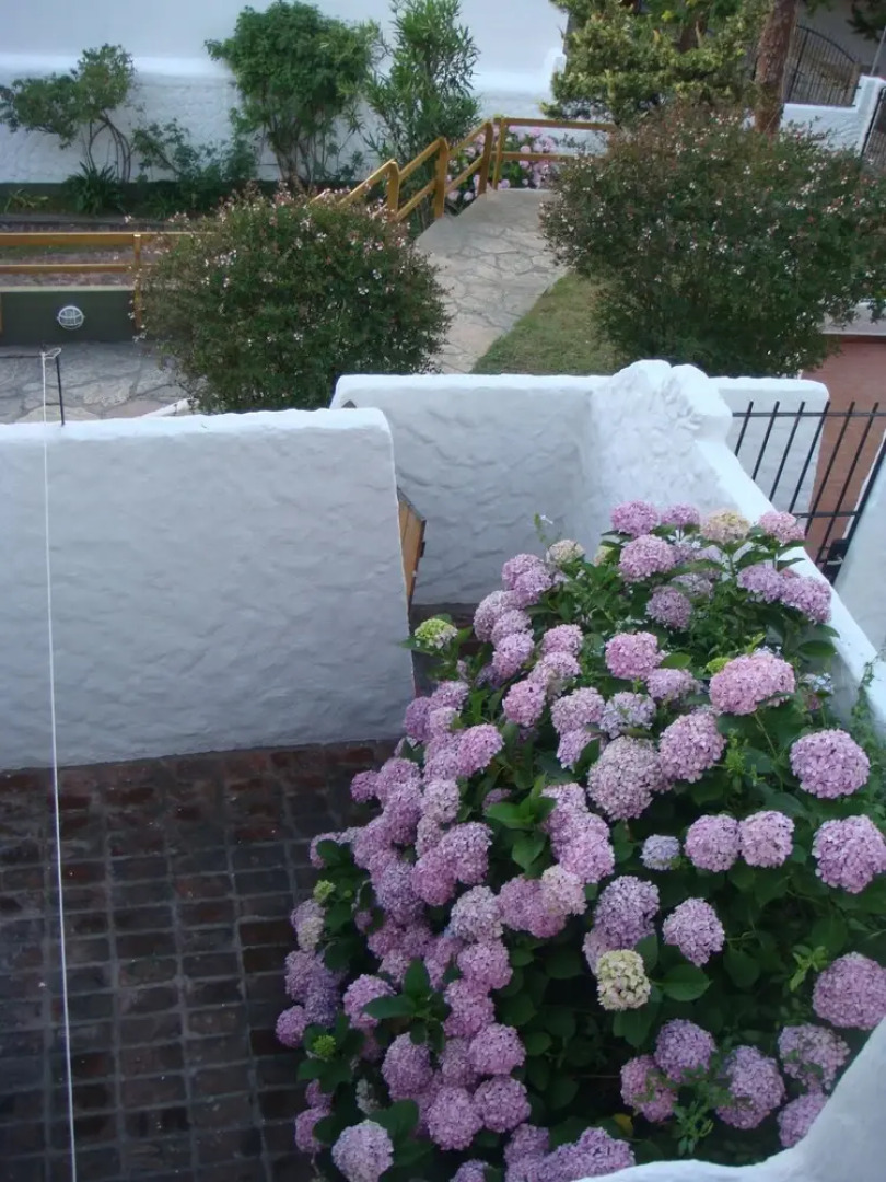 Triplex Nro 2 Costa Atlantica Argentina