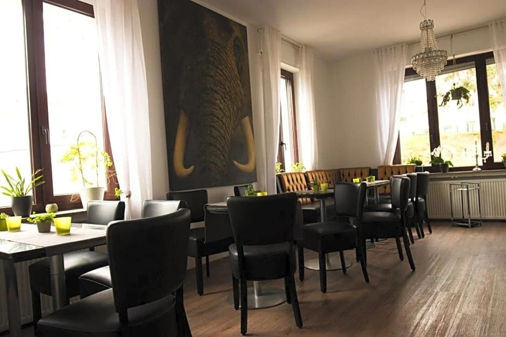 Hotel Haus Hollweg