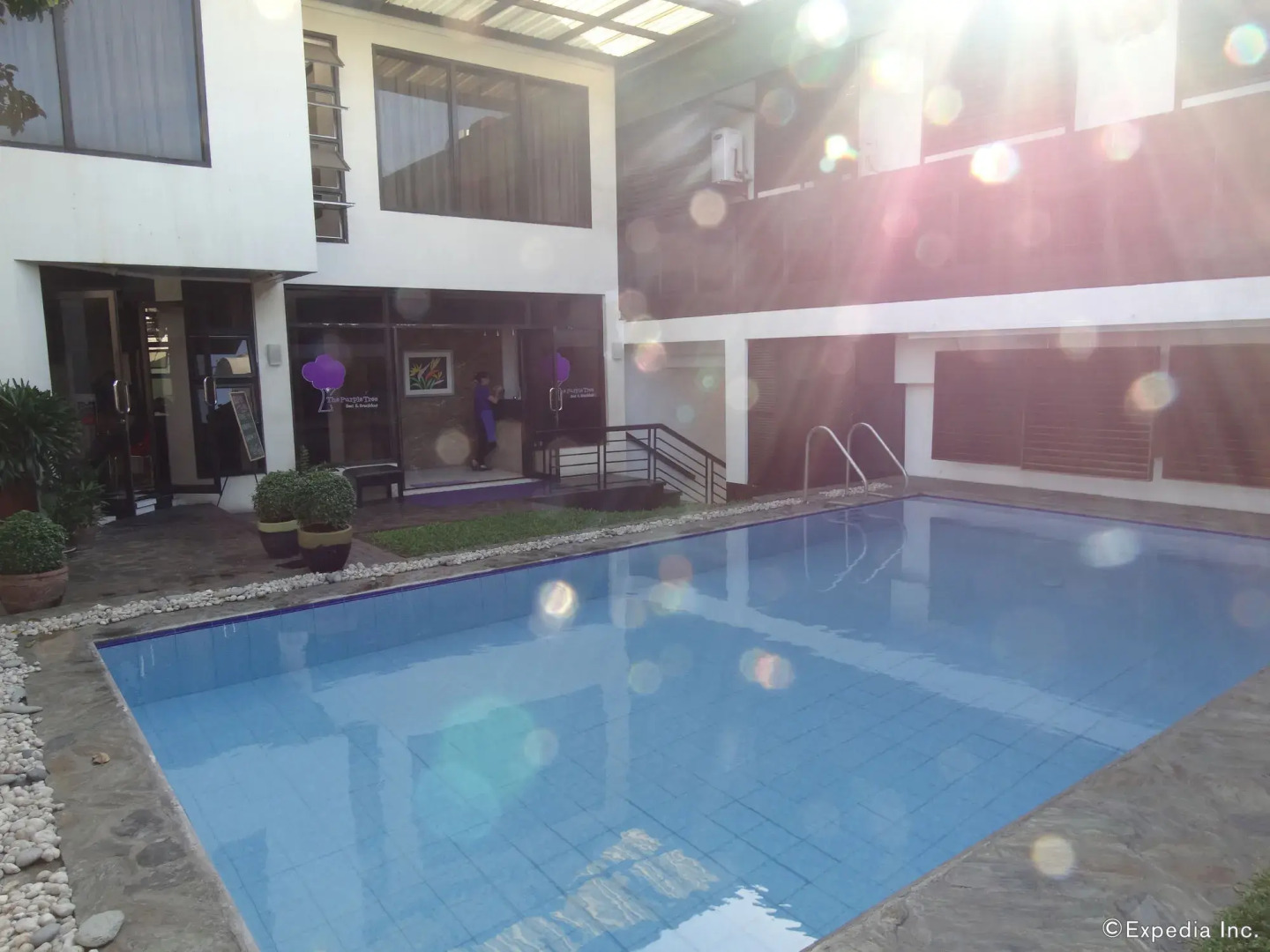 The Purple Tree Bed & Breakfast