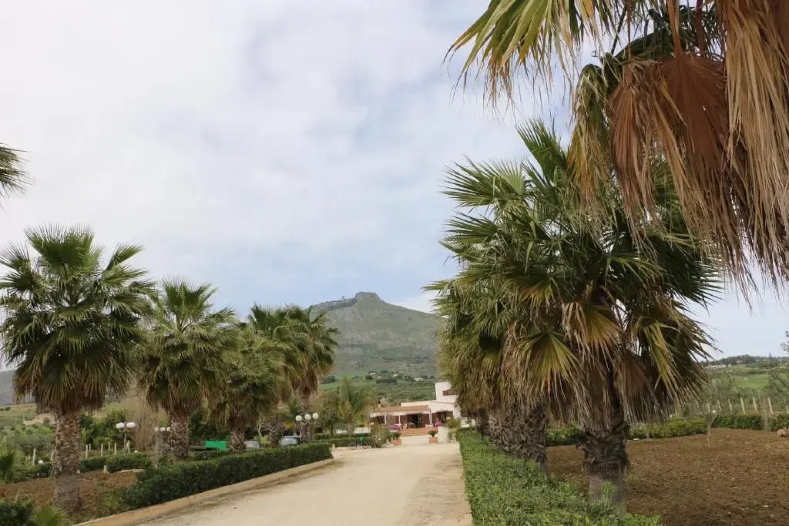 Villa Delle Palme Delfina