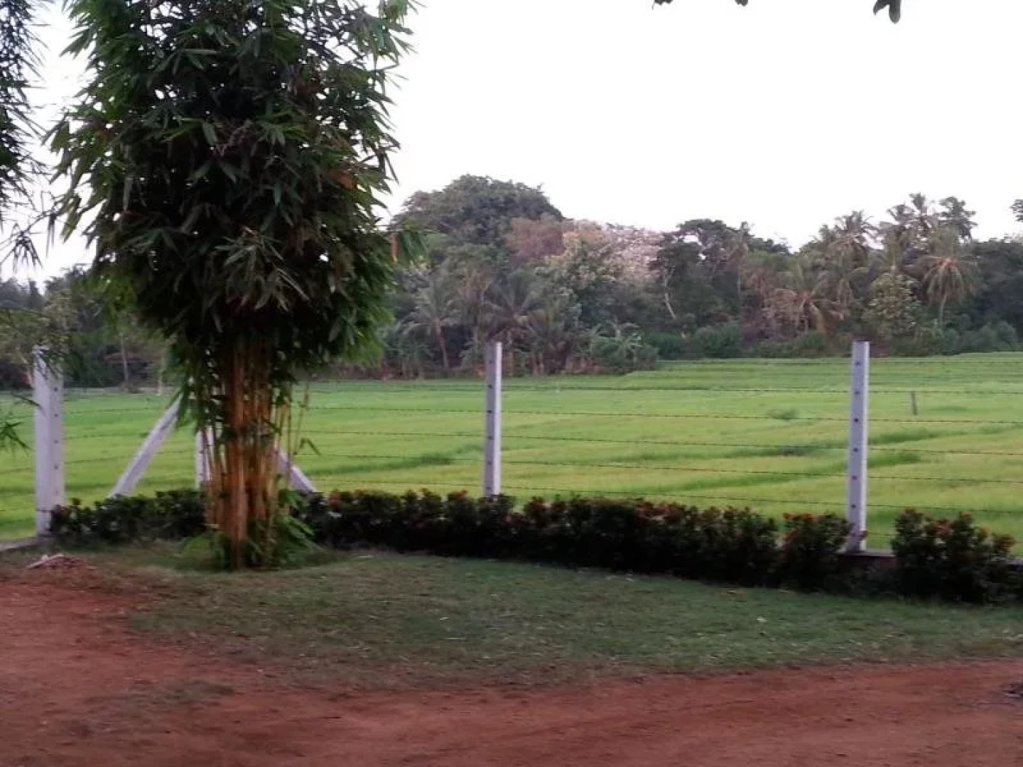 Triangle Holiday Inn